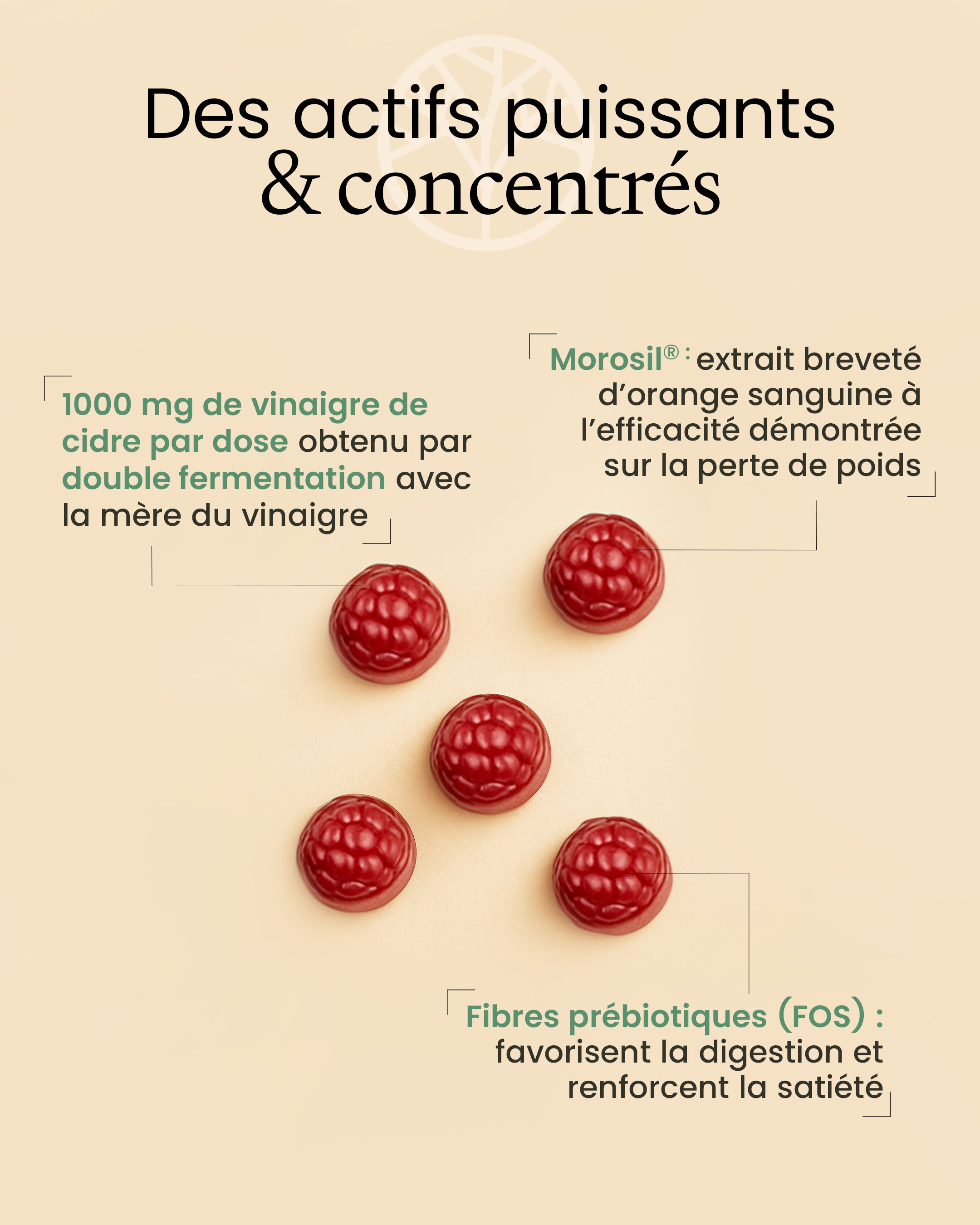 Propriétés du Morosil vinaigre de cidre