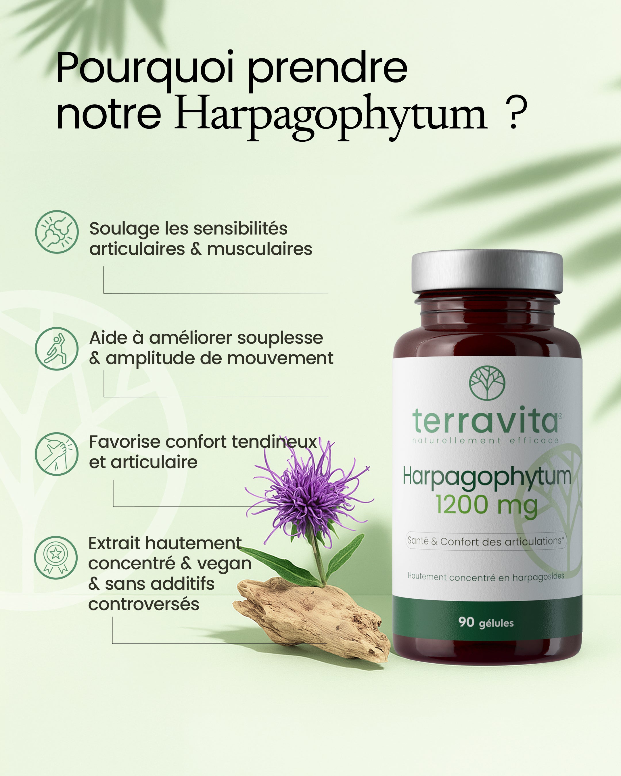 Harpagophytum 1200mg