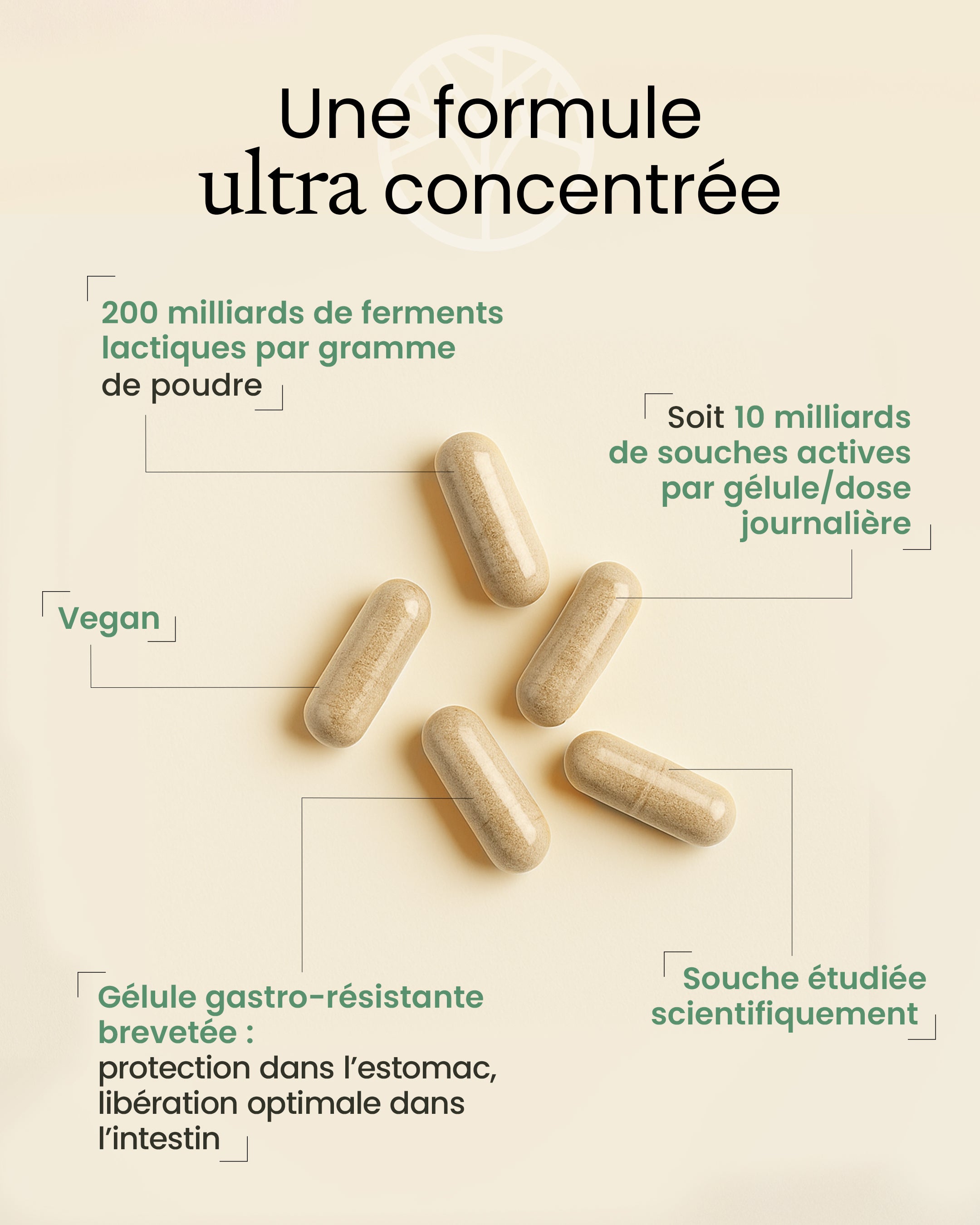 Gélules de Lactobacillus gasseri