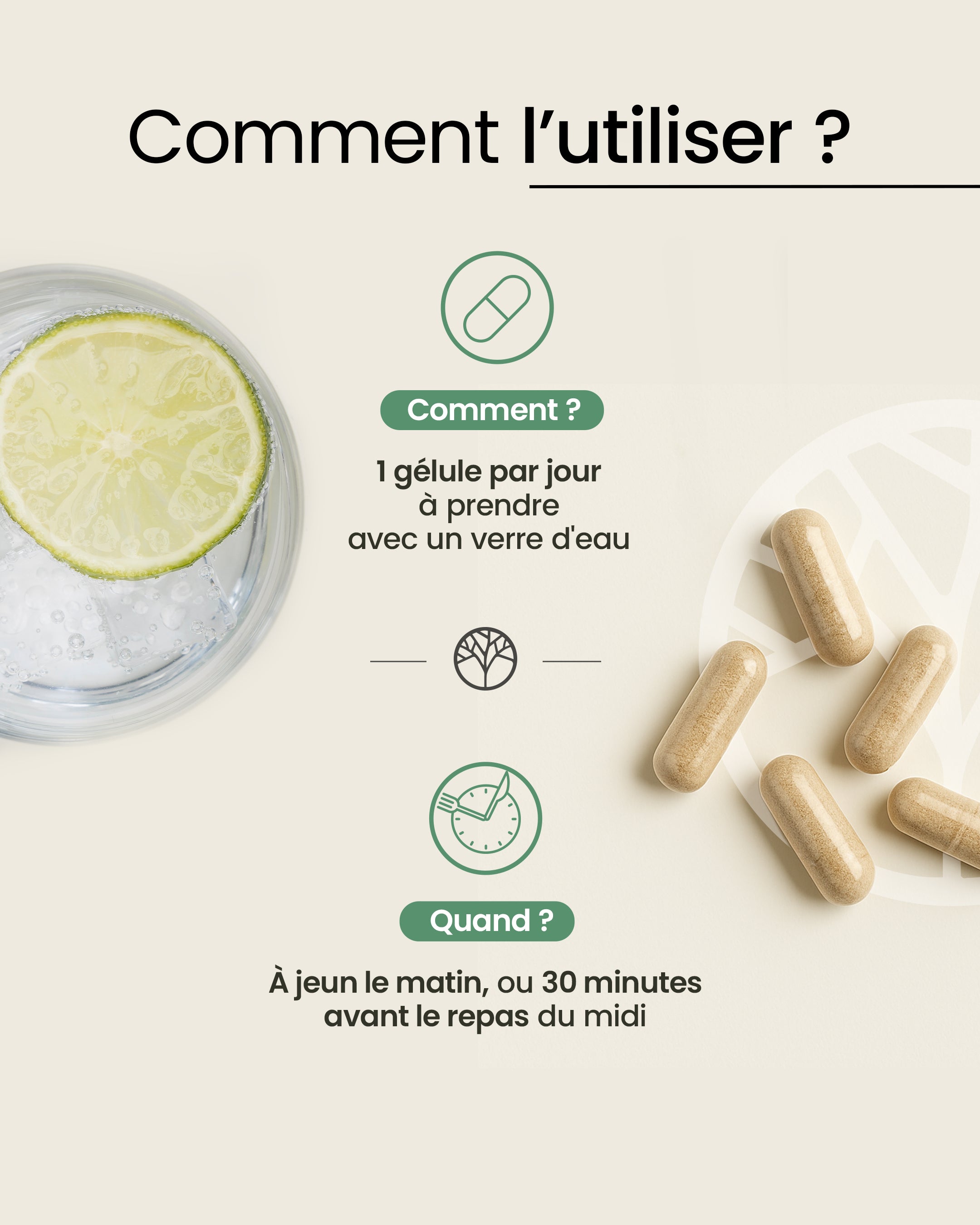 Posologie du Lactobacillus gasseri