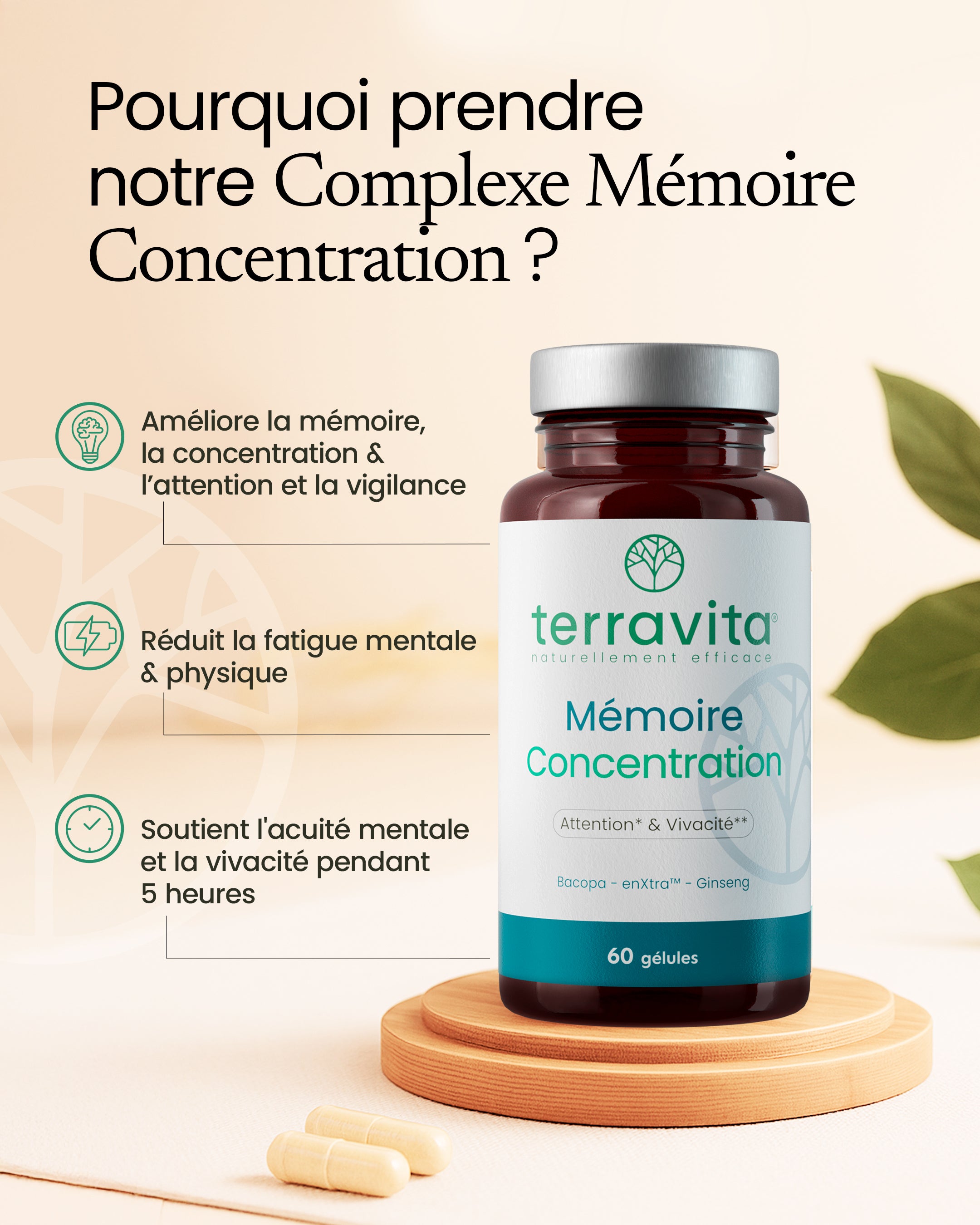 Mémoire concentration