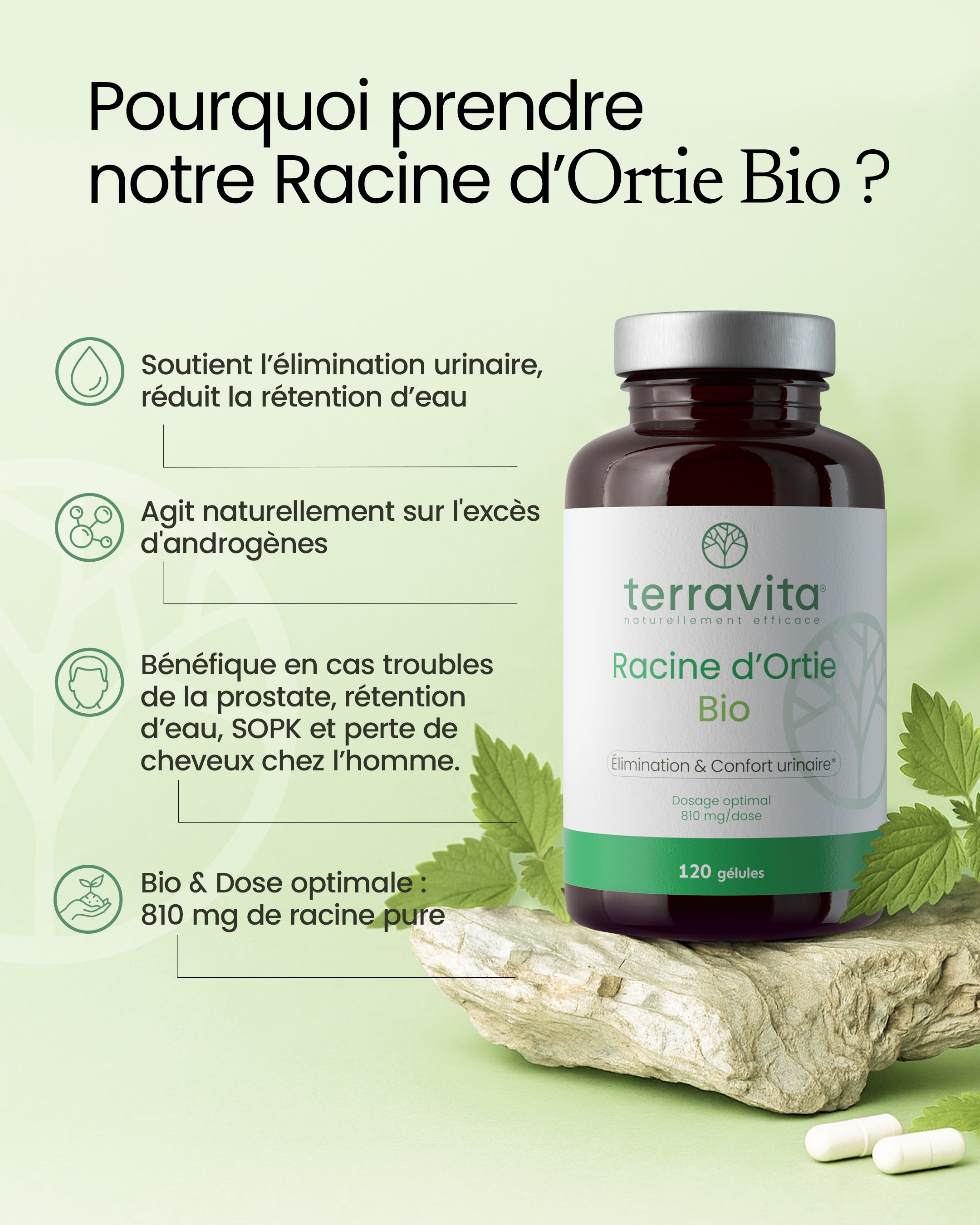 Ortie Bio