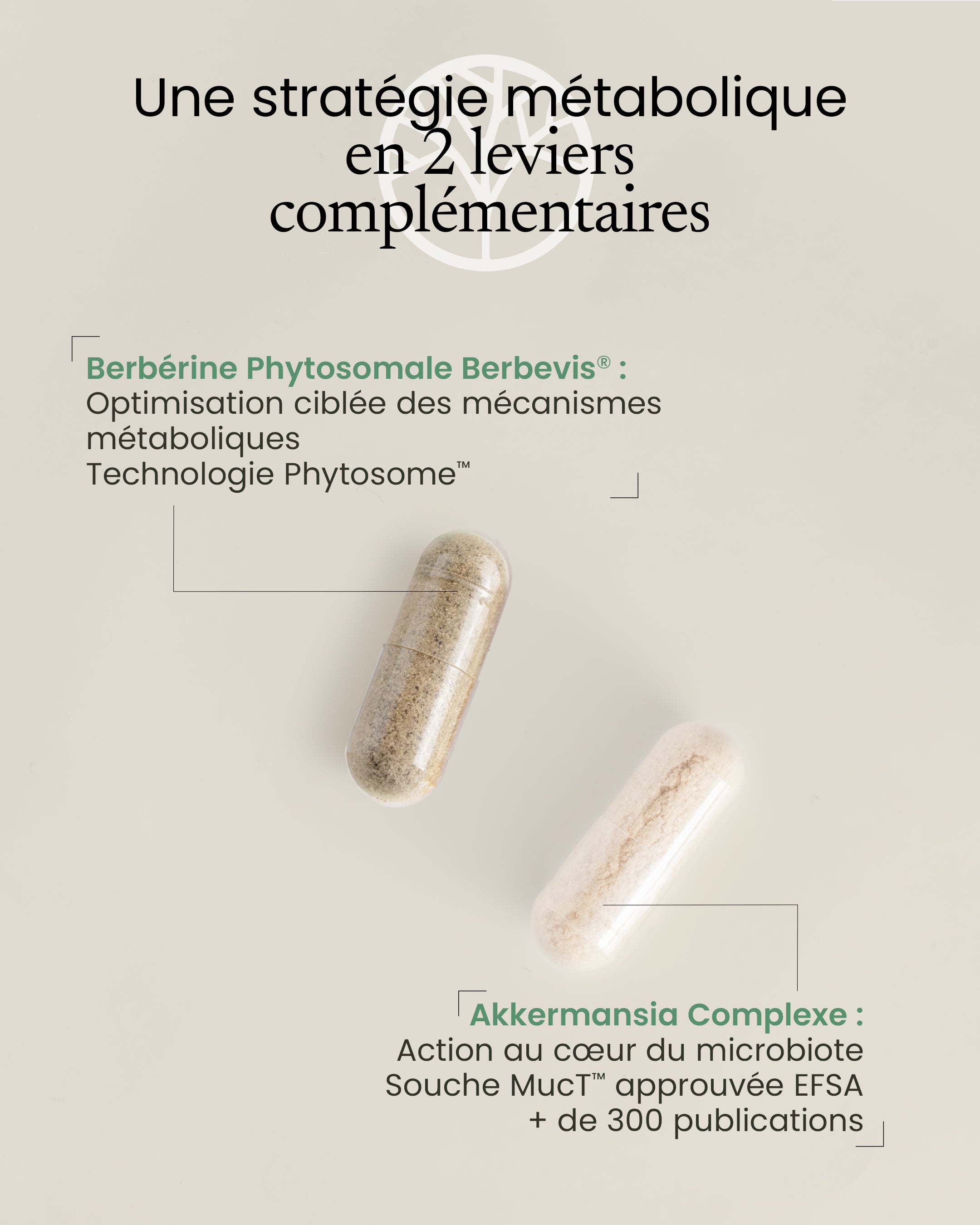 Programme Rééquilibrage métabolique