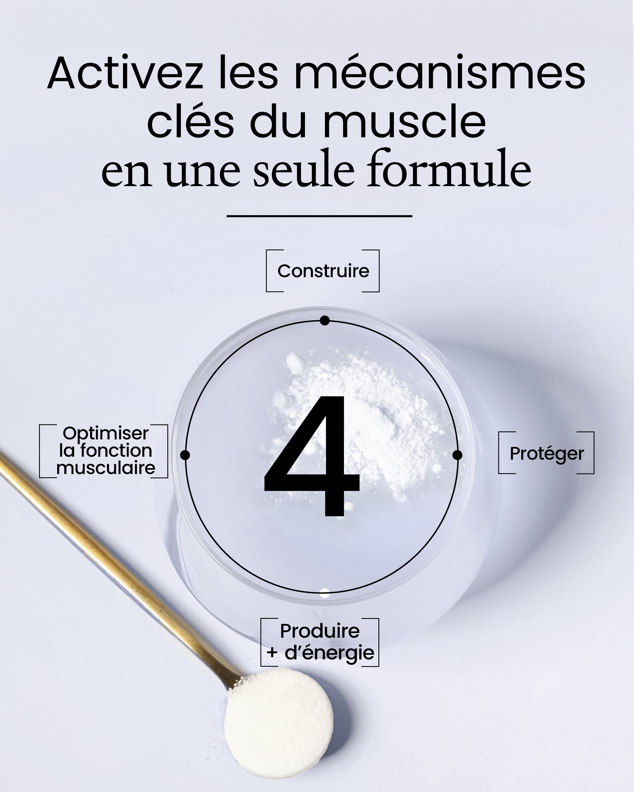 Activ'énergie Complexe Créatine