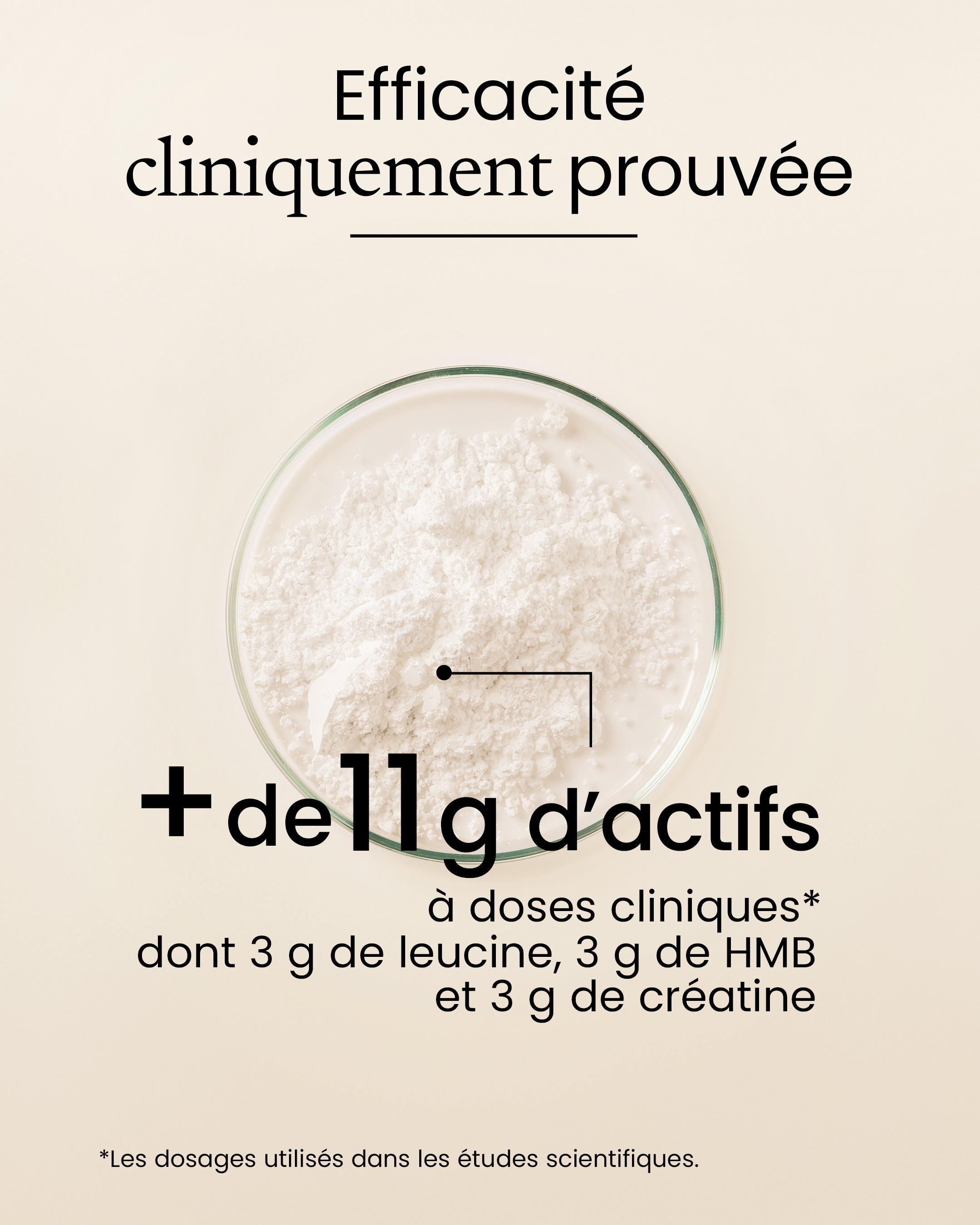 Activ'énergie Complexe Créatine