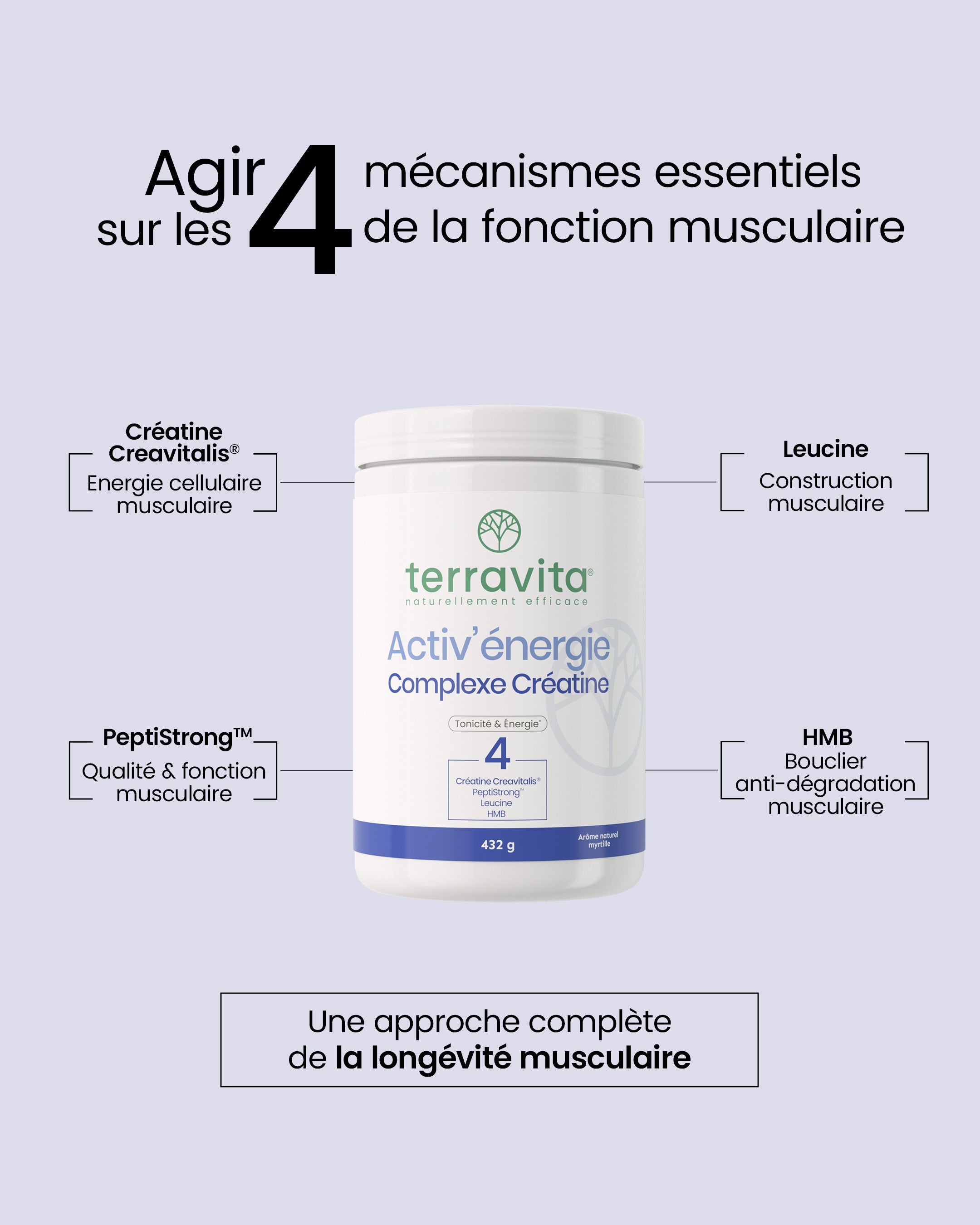 Activ'énergie Complexe Créatine