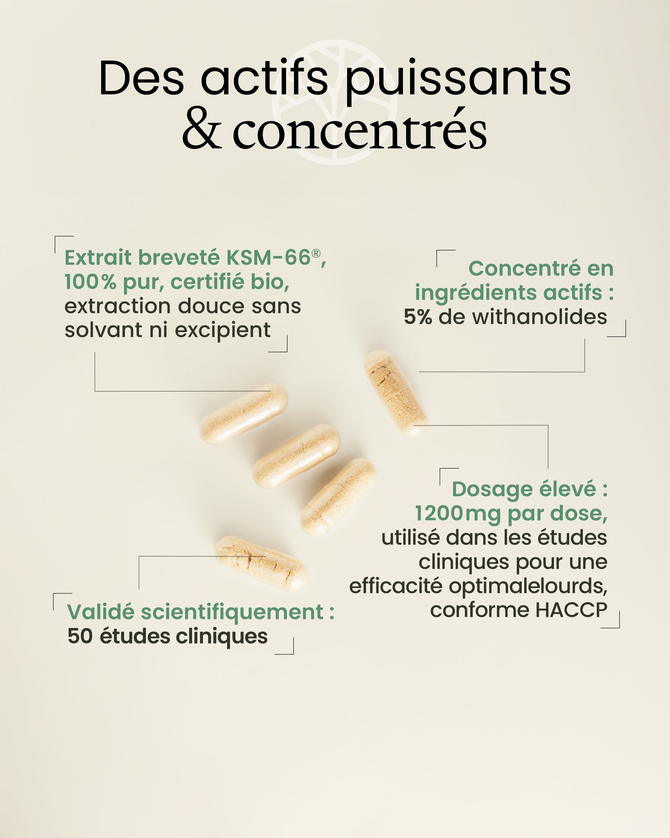 Propriétés de l'ashwagandha KSM-66