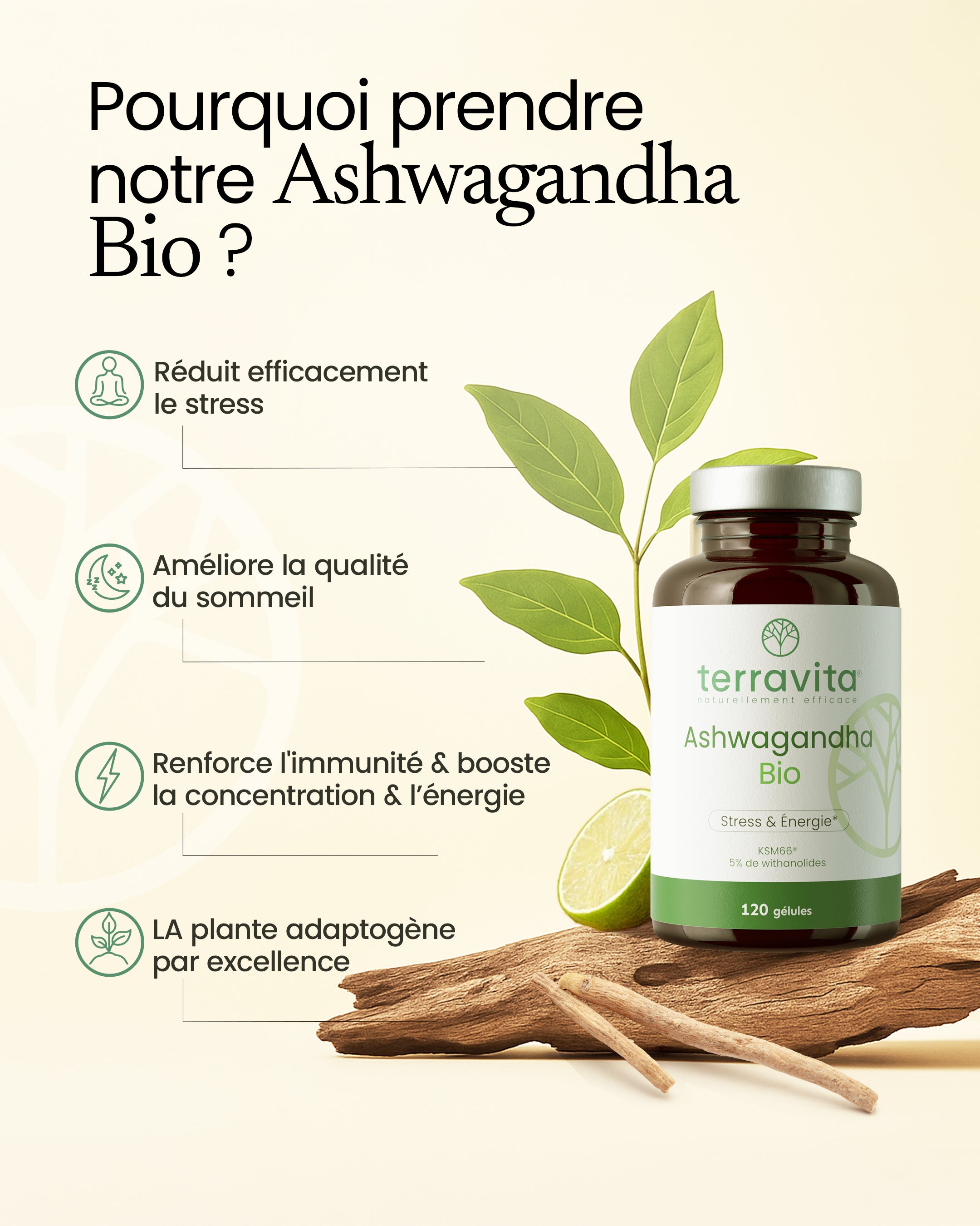 Bienfaits de l'ashwagandha bio
