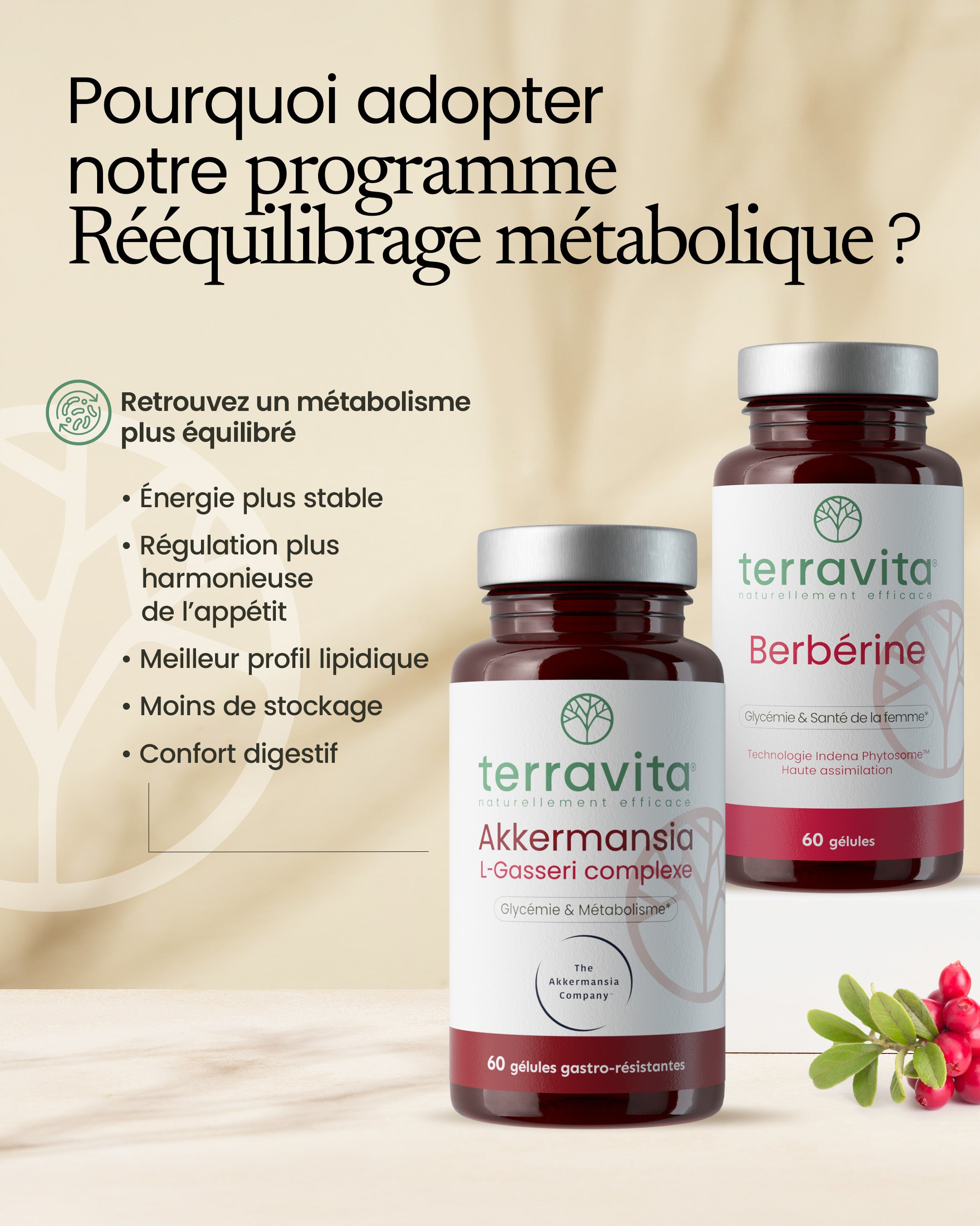 Programme Rééquilibrage métabolique