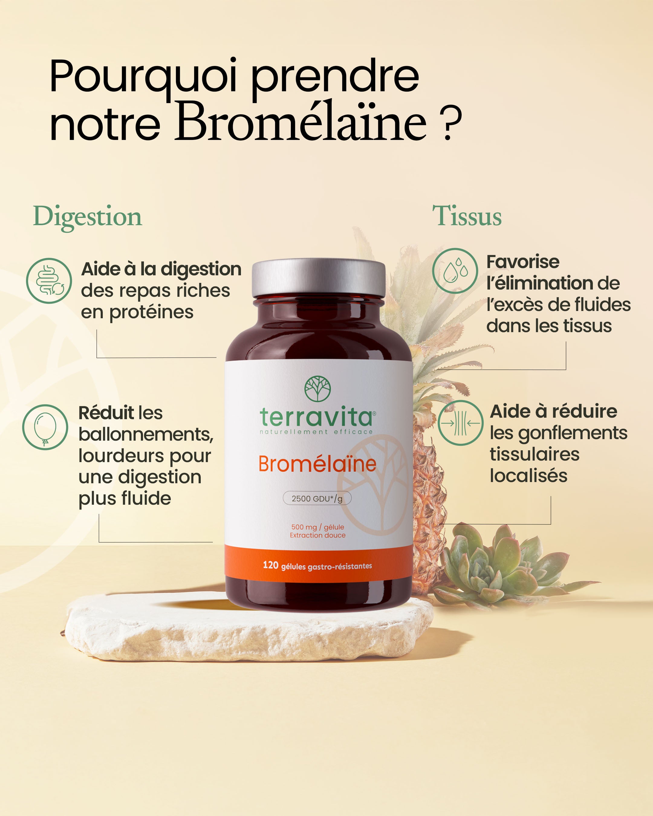 Bienfaits de la bromélaïne
