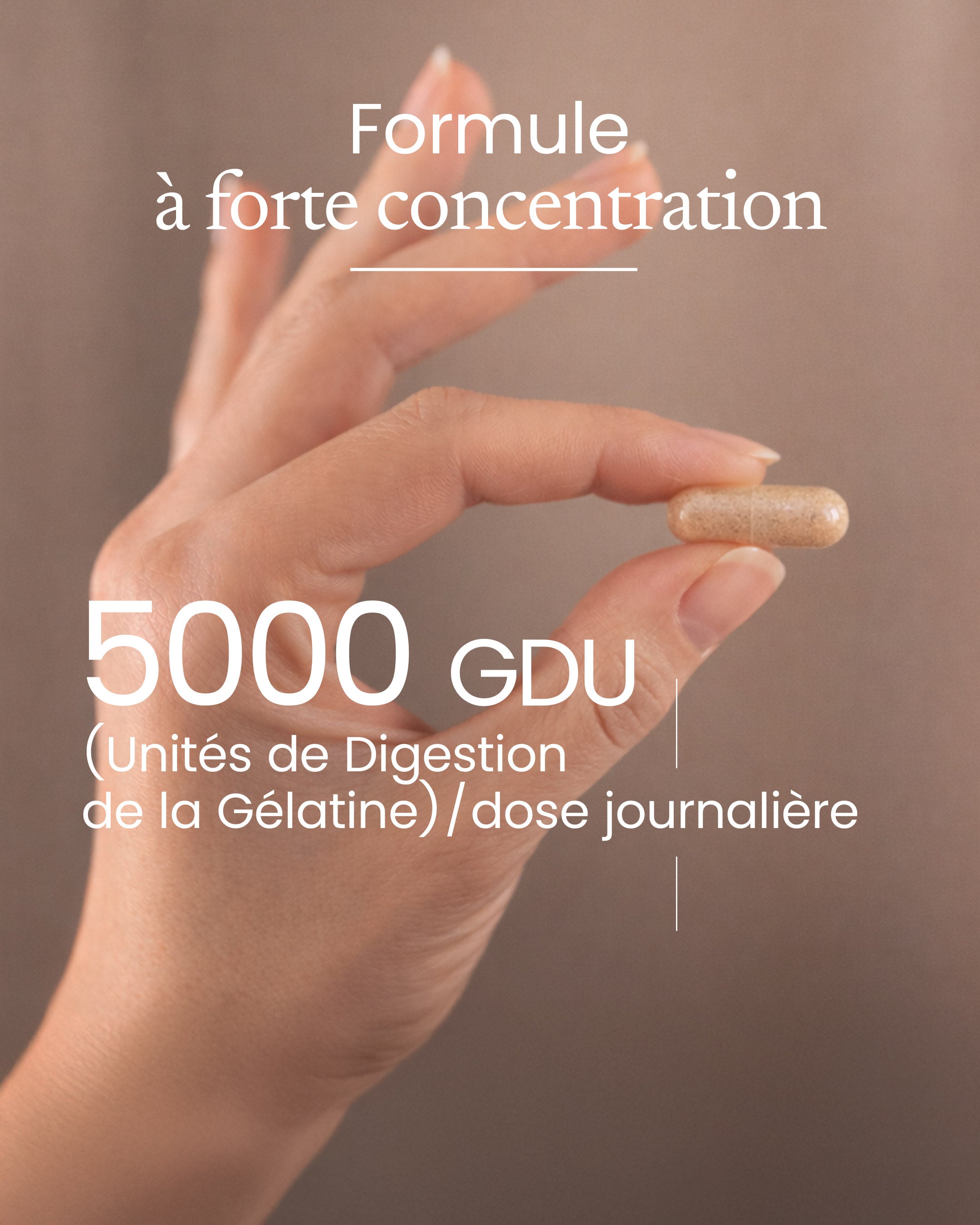 Gélule de bromélaïne