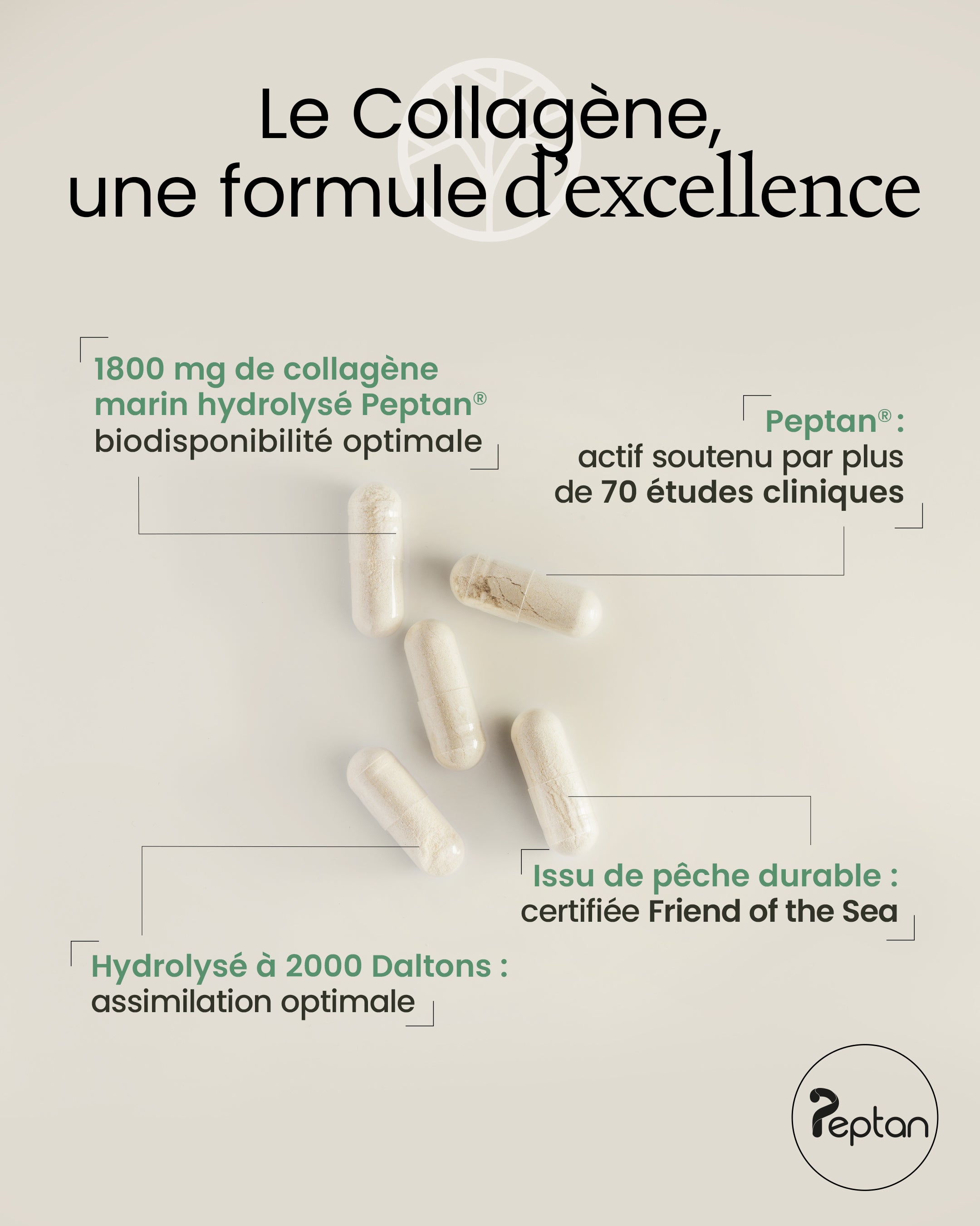 Collagène marin Peptan