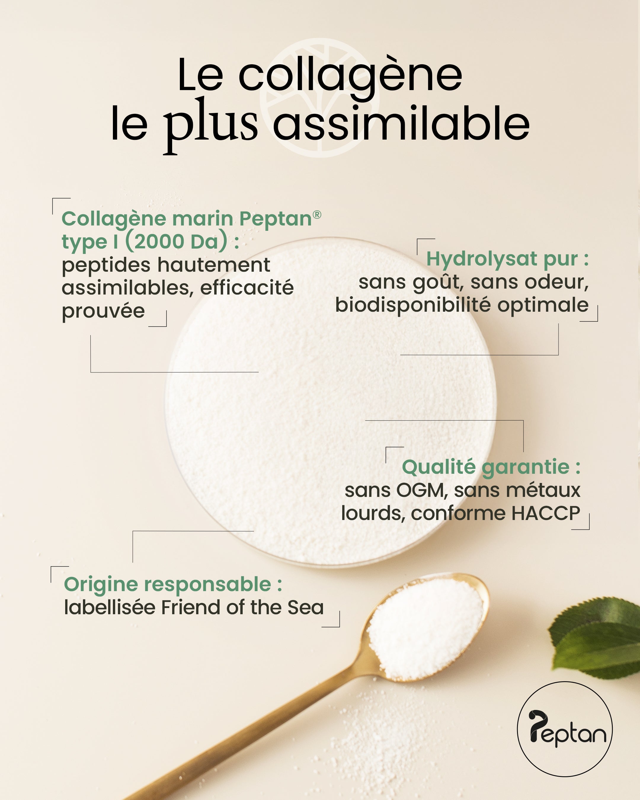 Collagène marin Peptan