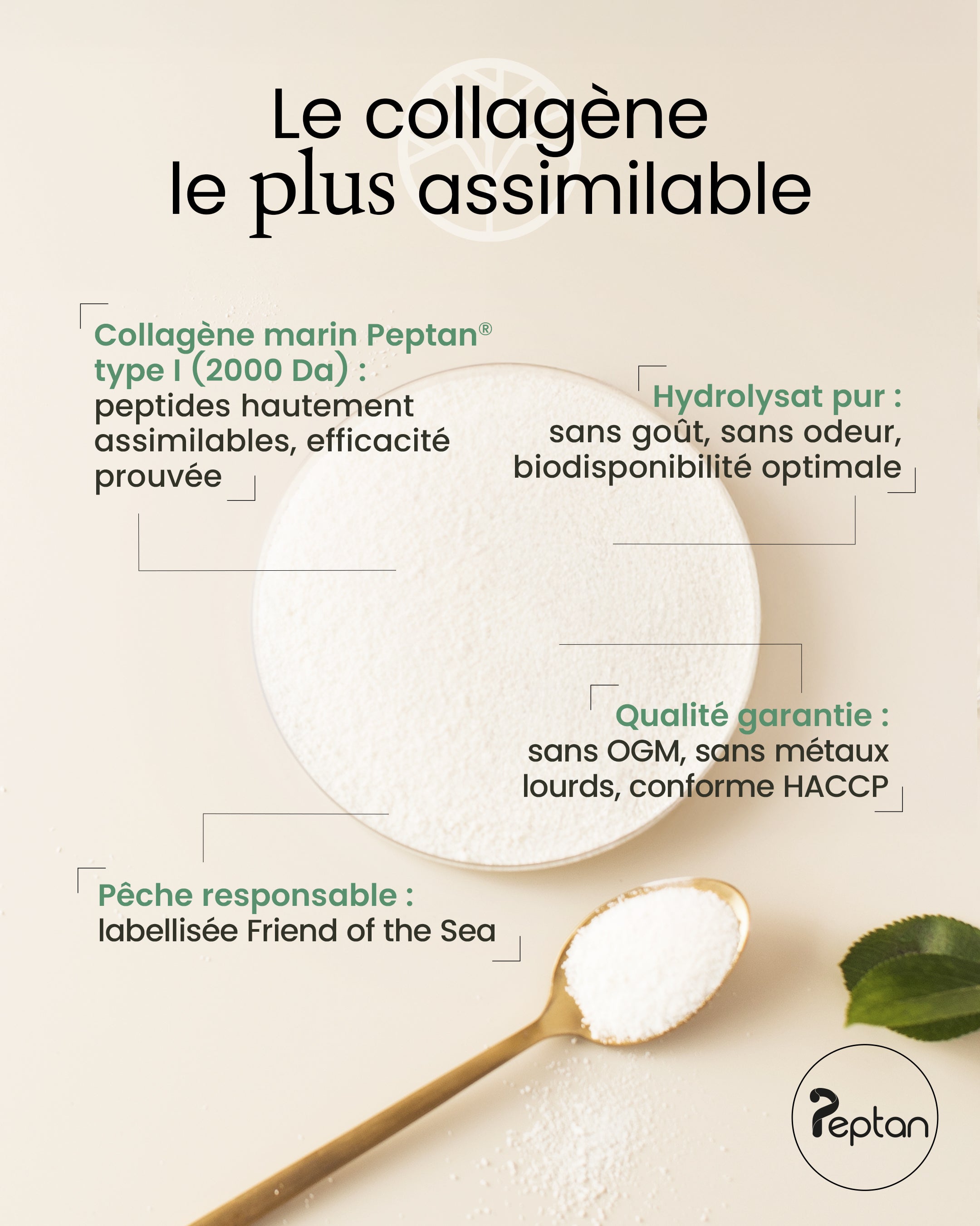 Collagène marin