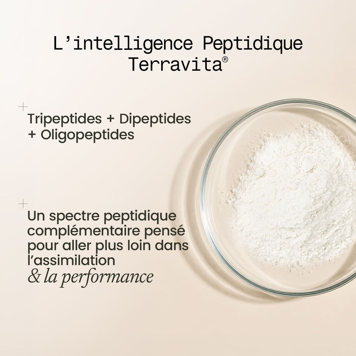 Collagène Tripeptides Expert