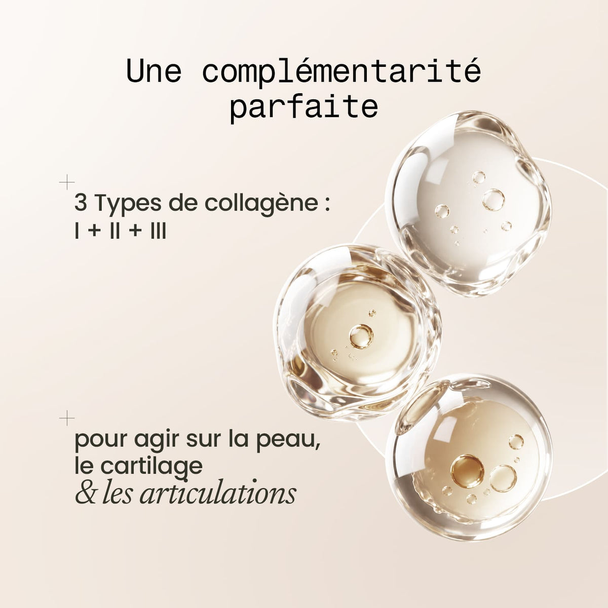 Collagène Tripeptides Expert