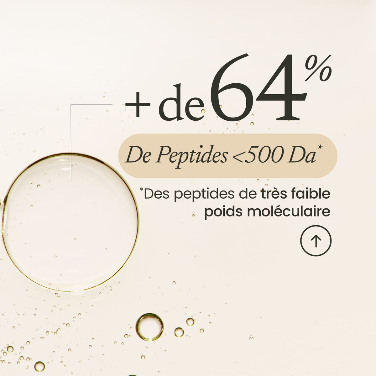 Collagène Tripeptides Expert