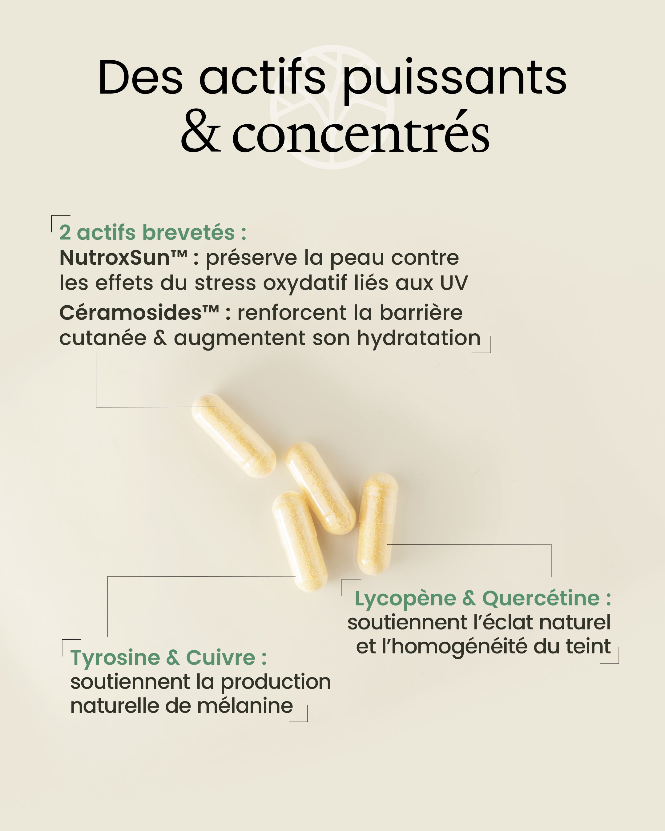 Complexe solaire