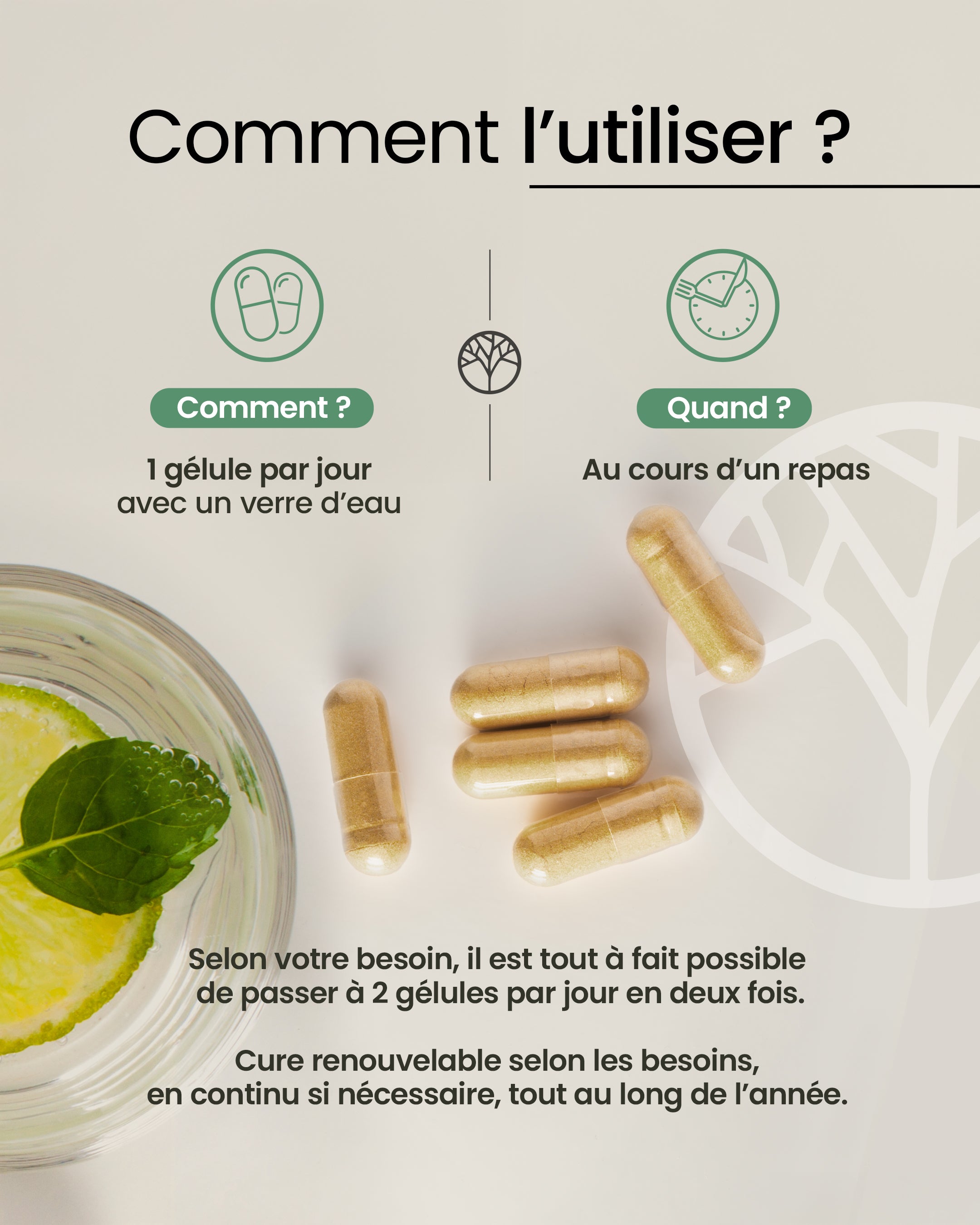 Posologie du coenzyme Q10