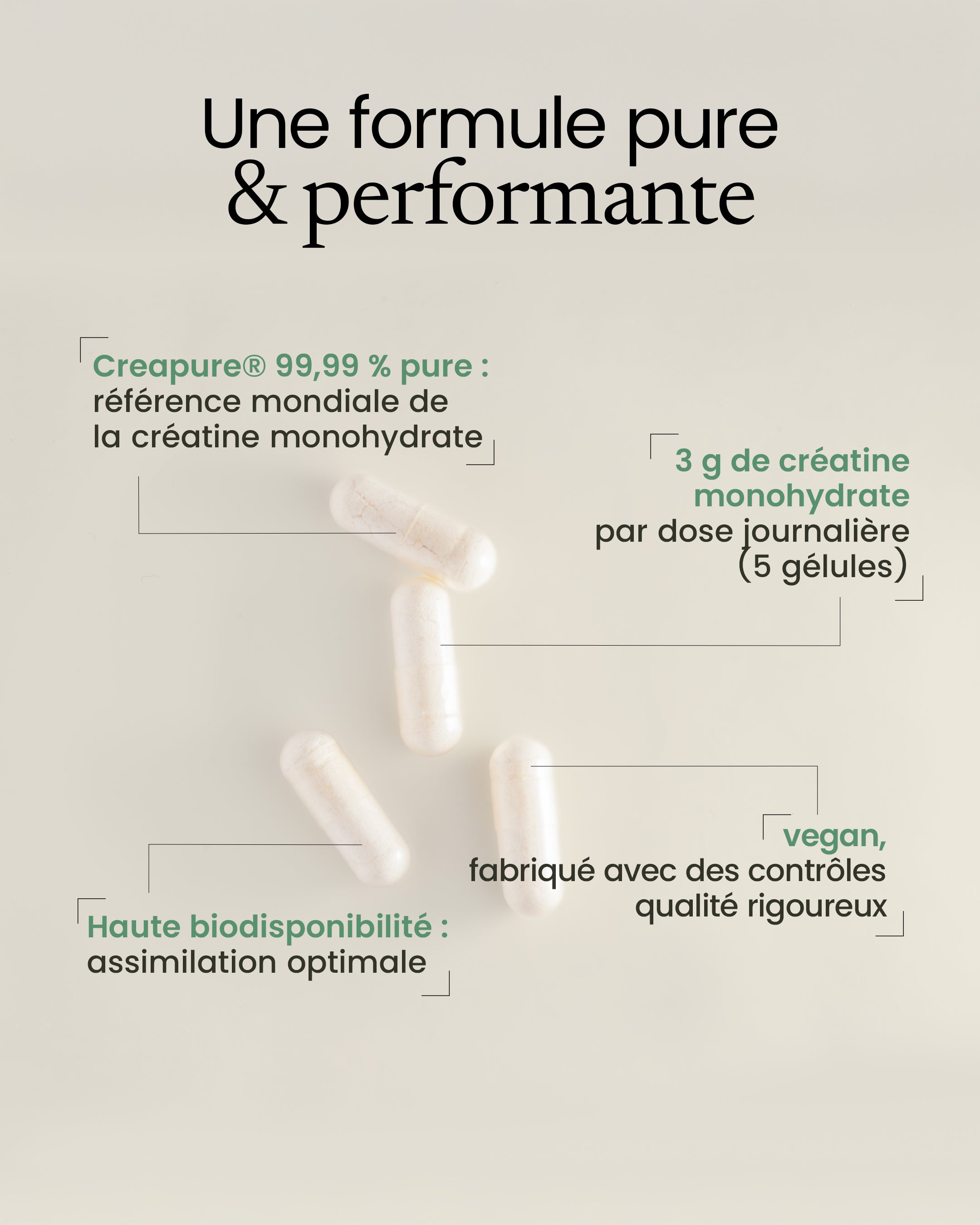 Gélule de créatine monohydrate