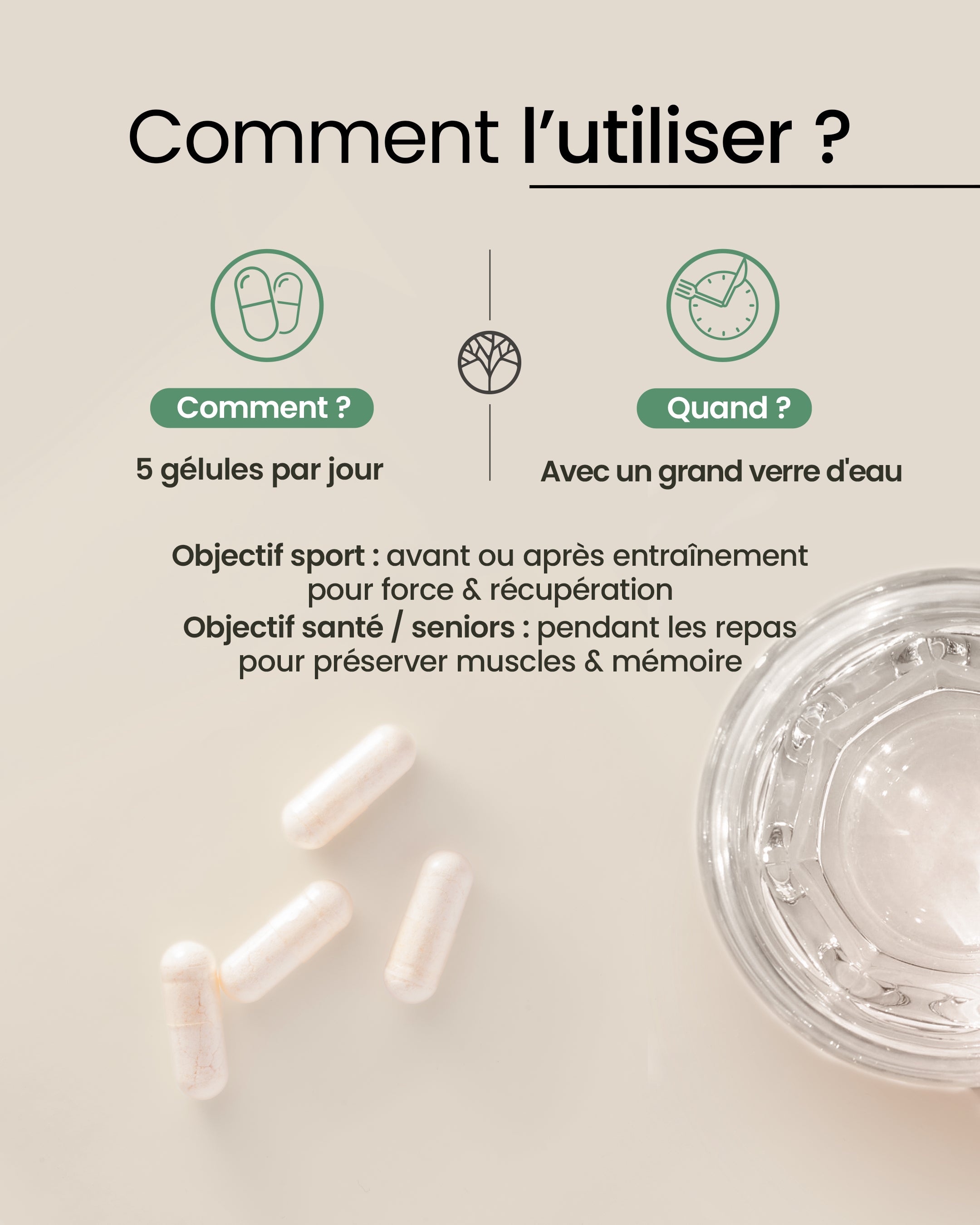 Posologie de la créatine