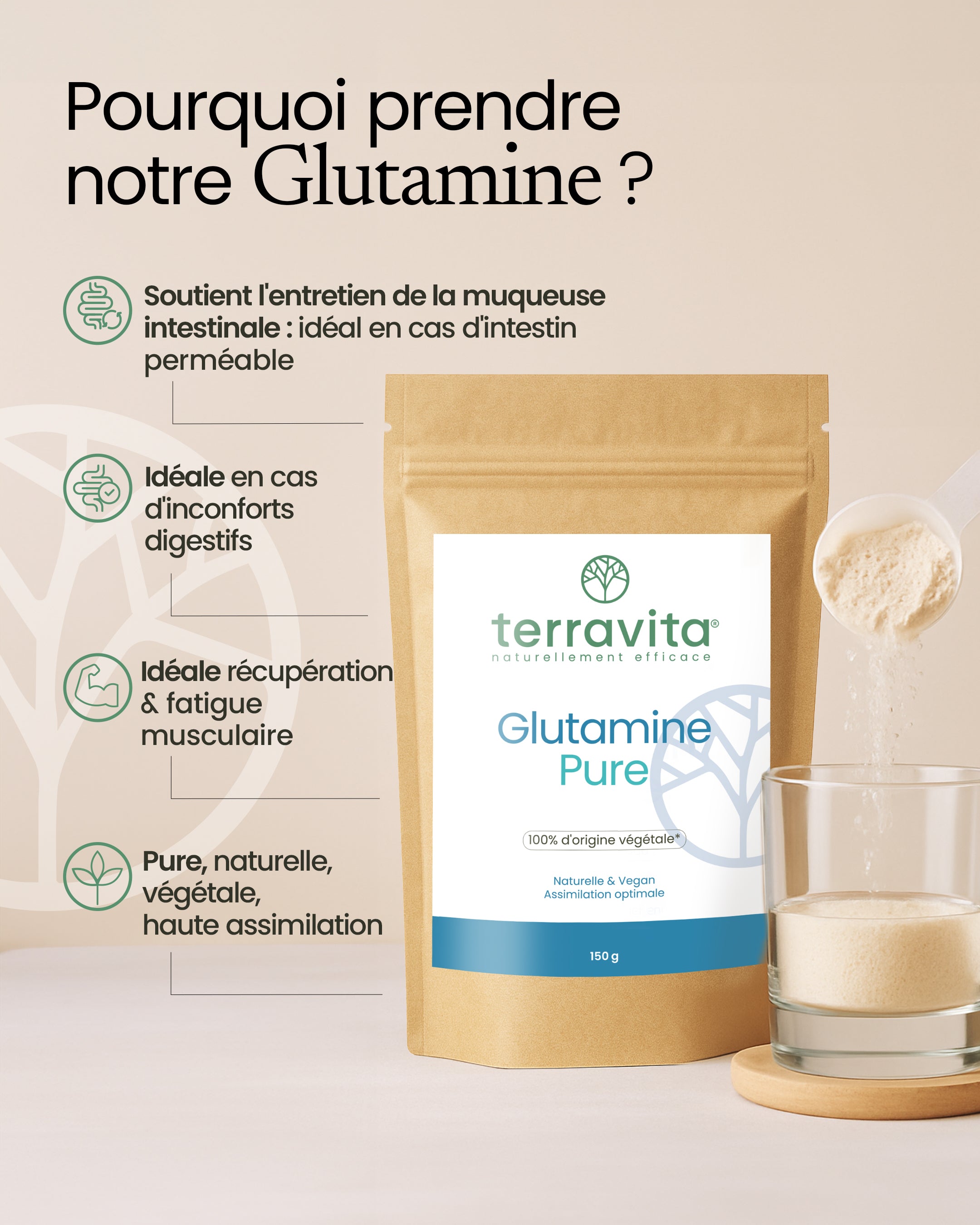 Glutamine Kyowa en poudre