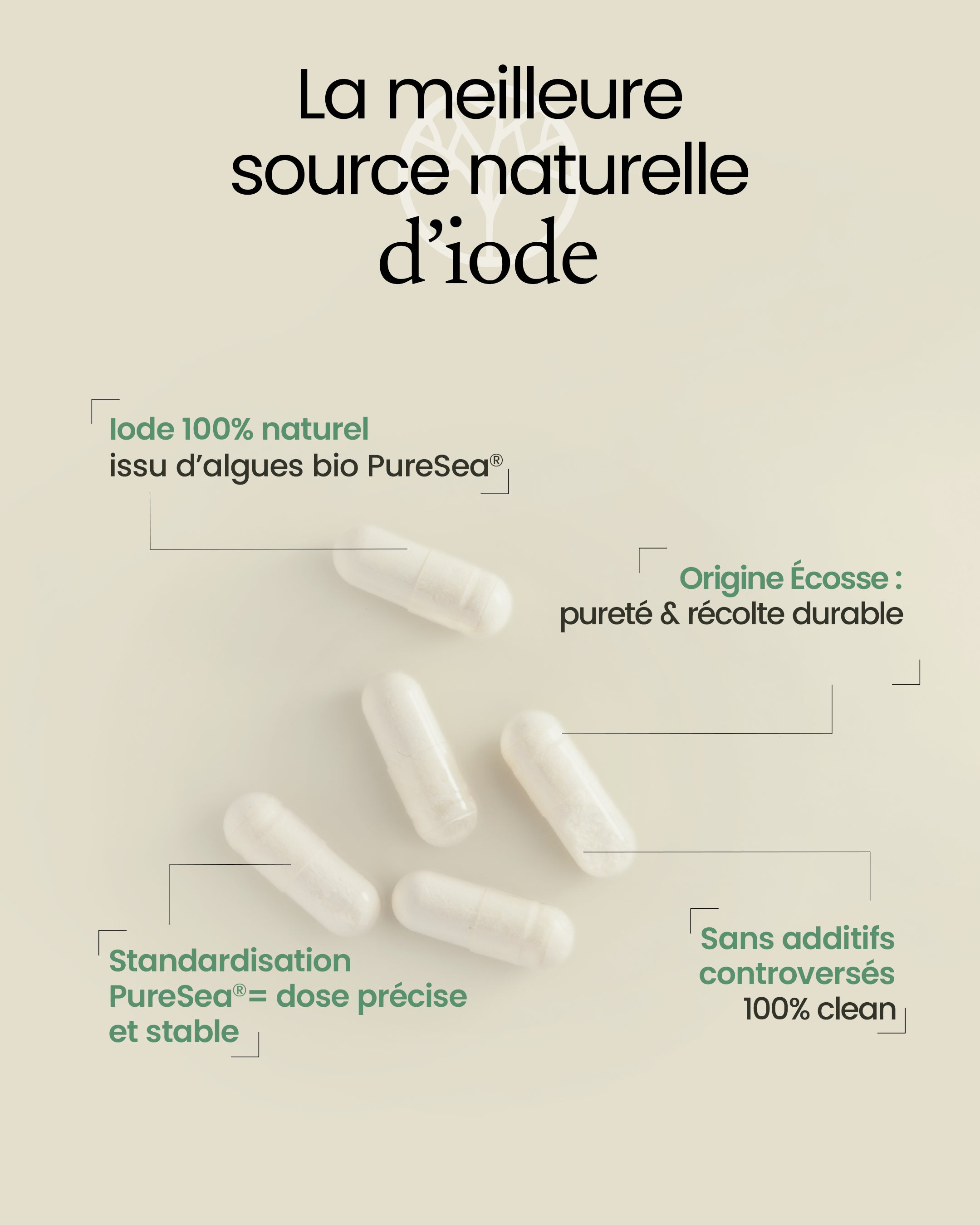 Iode marin Bio