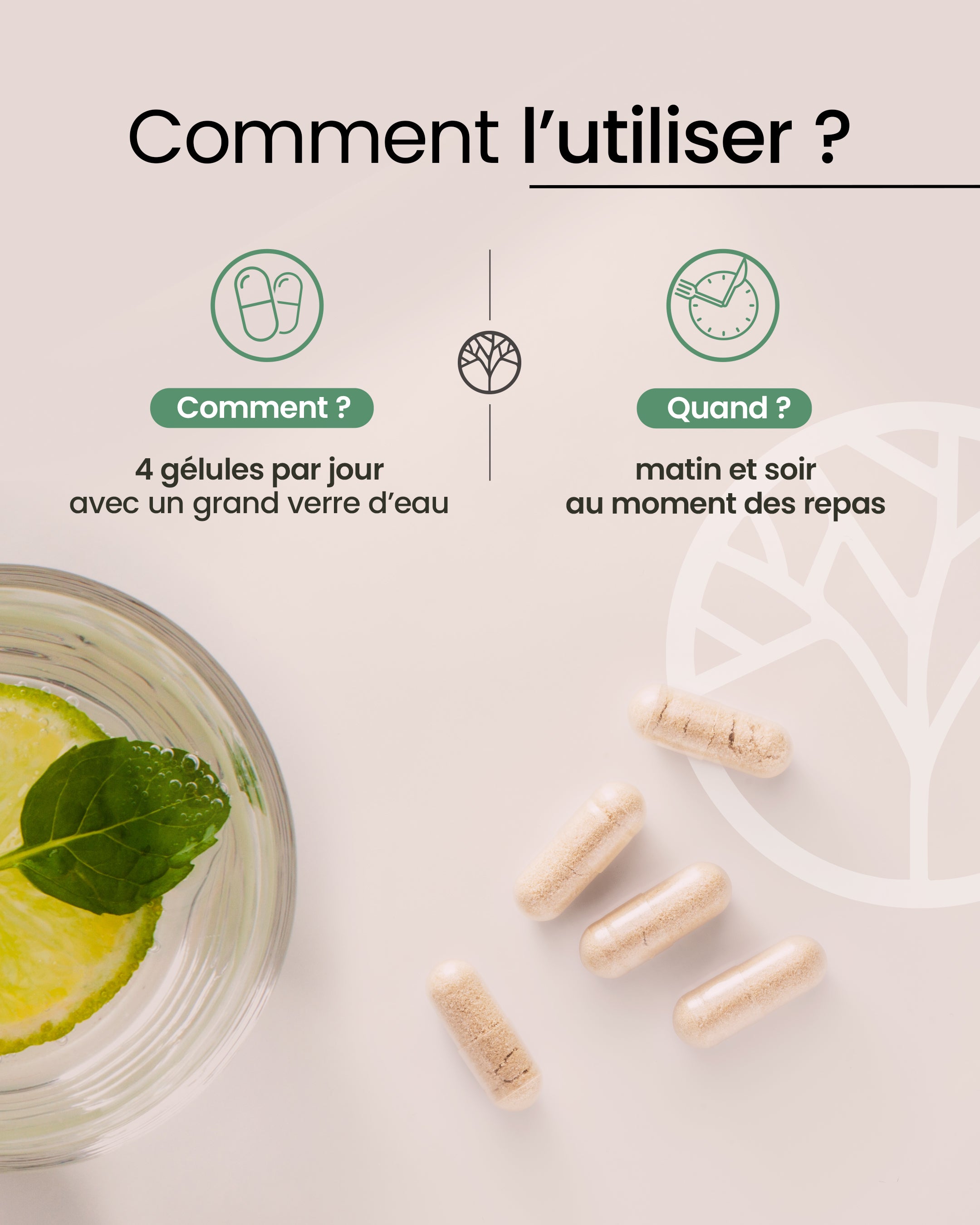 Maca bio
