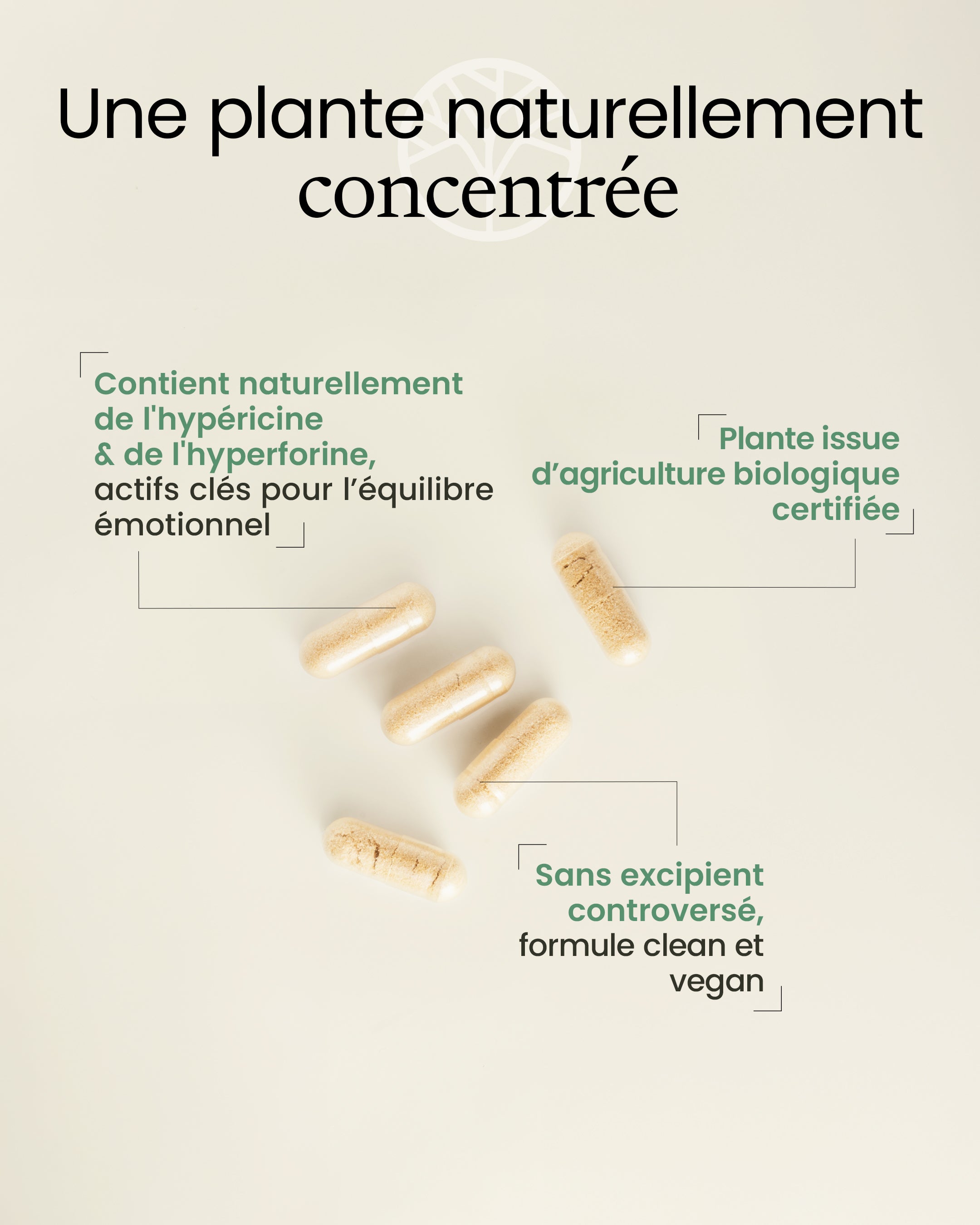 Millepertuis bio