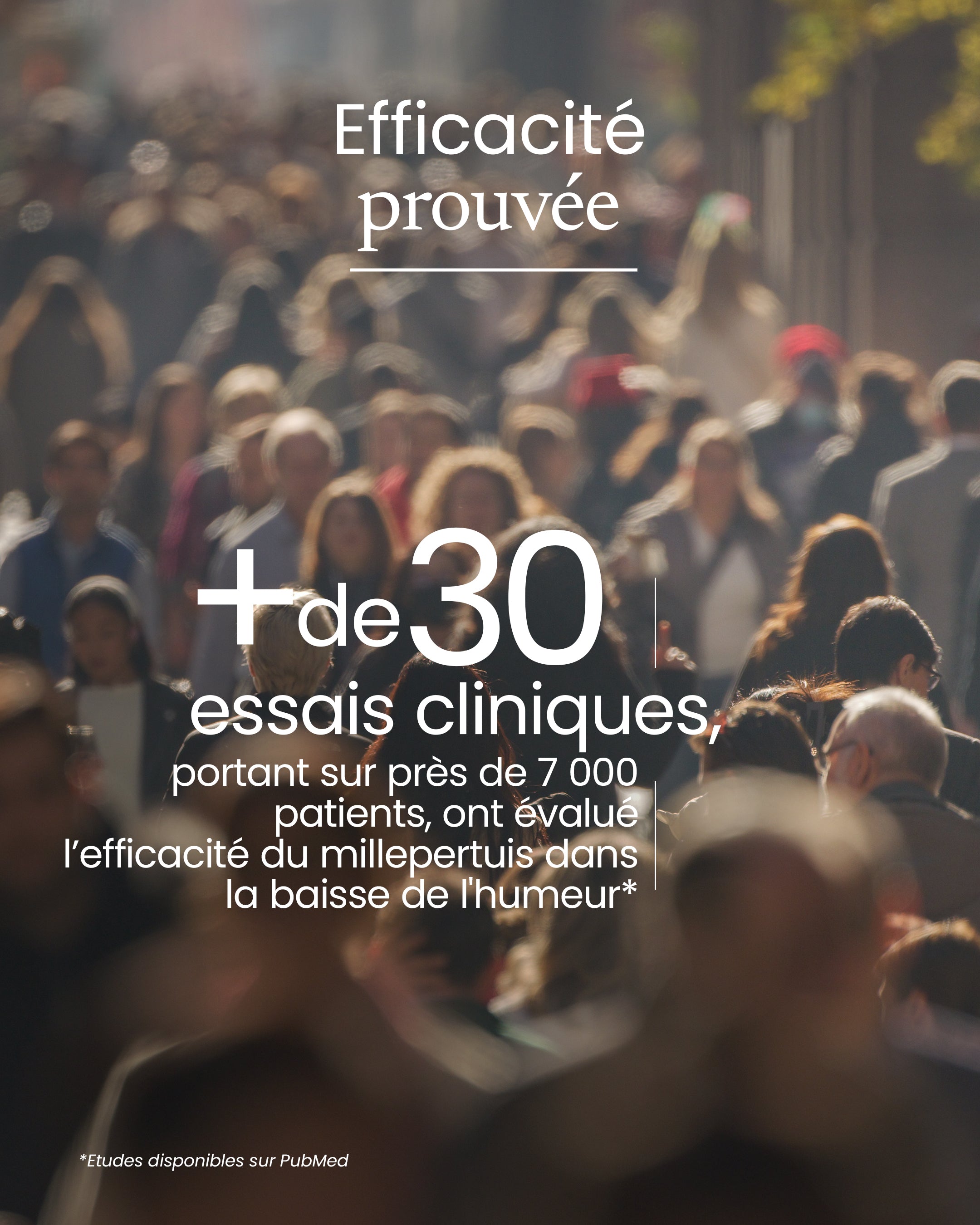 Millepertuis bio