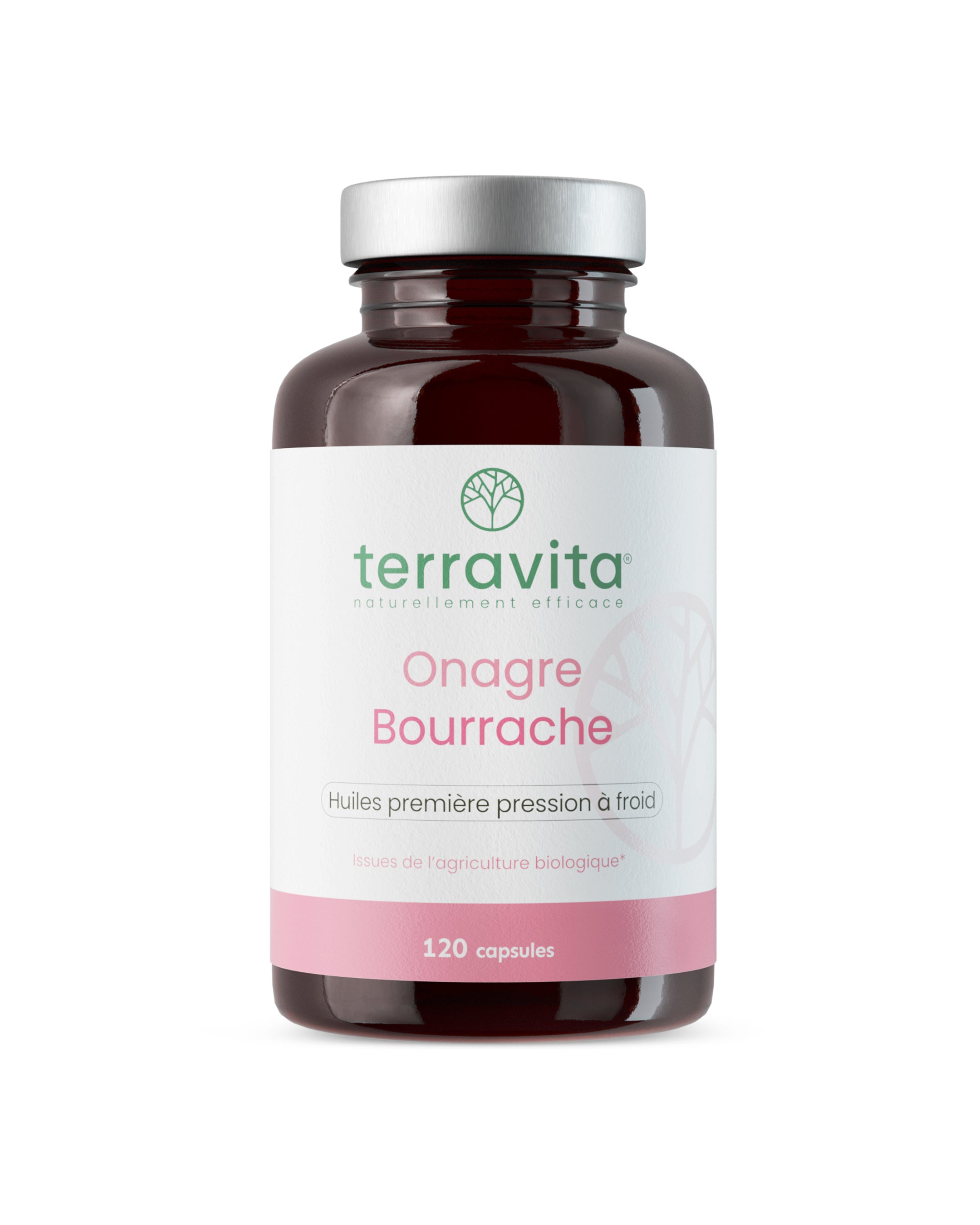 Onagre Bourrache