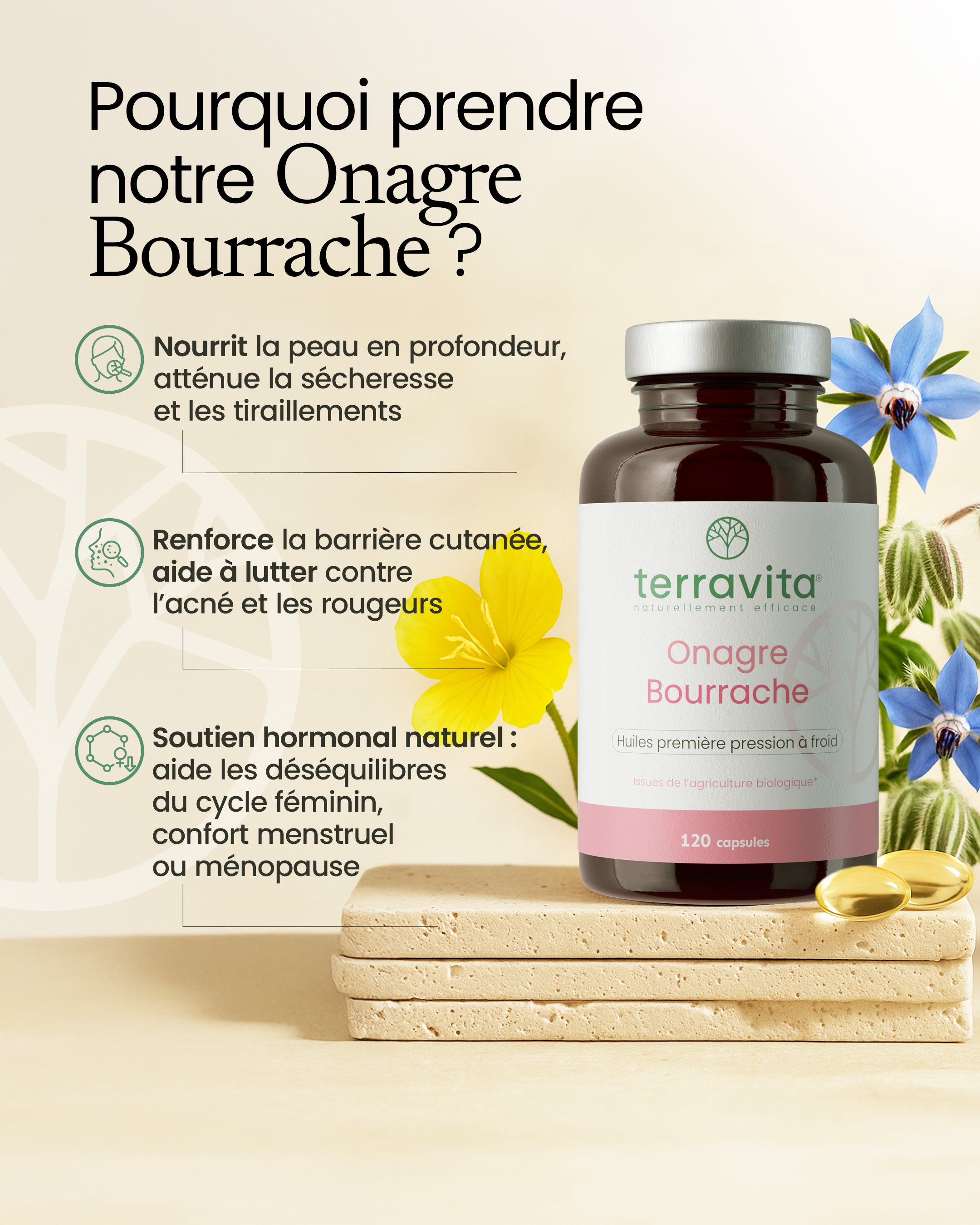 Onagre Bourrache