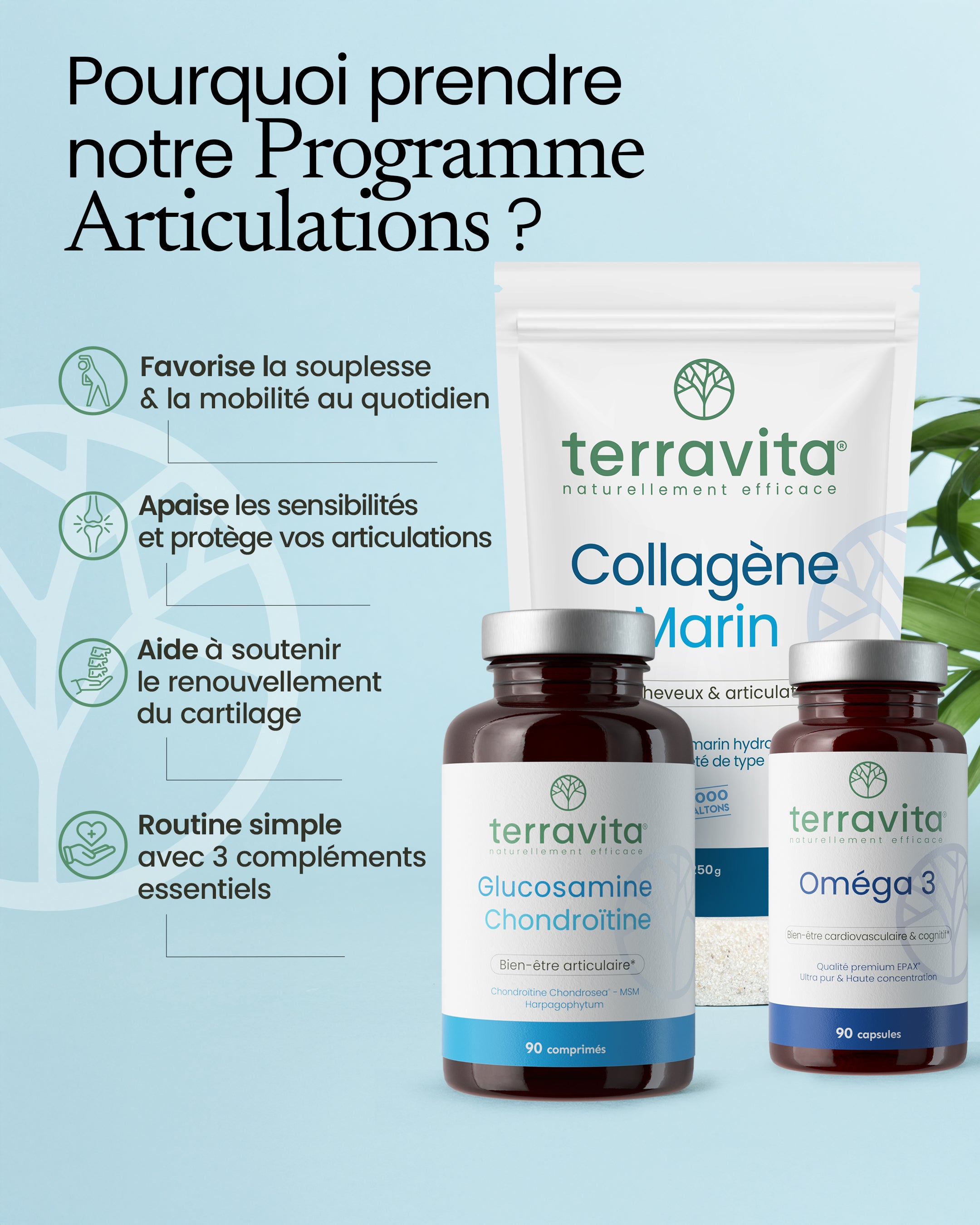 Programme articulations