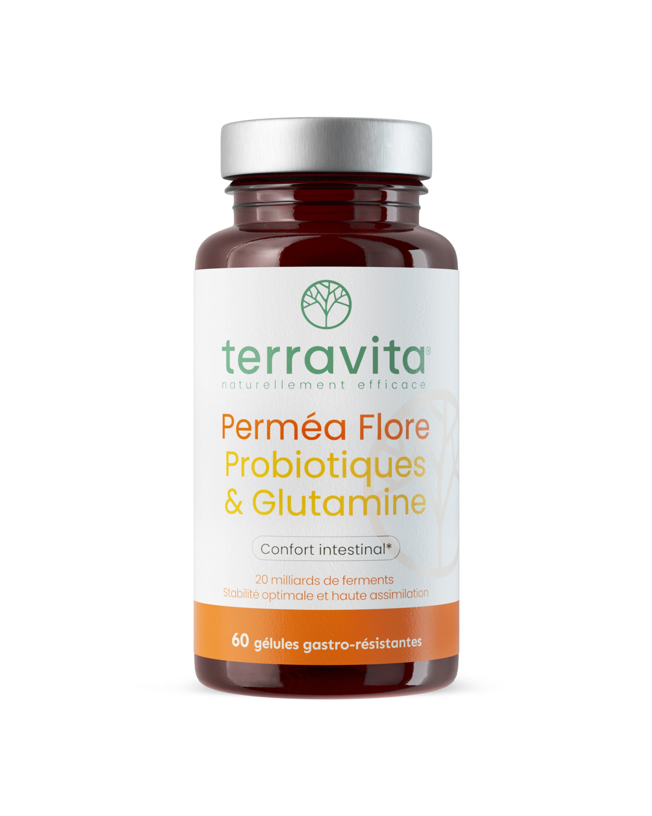 Probiotique glutamine en gélule