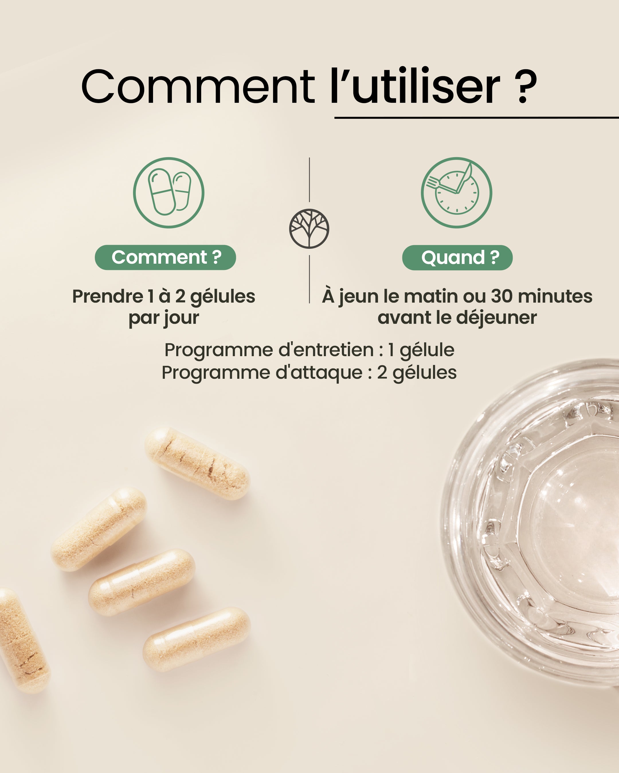 Posologie des probiotiques