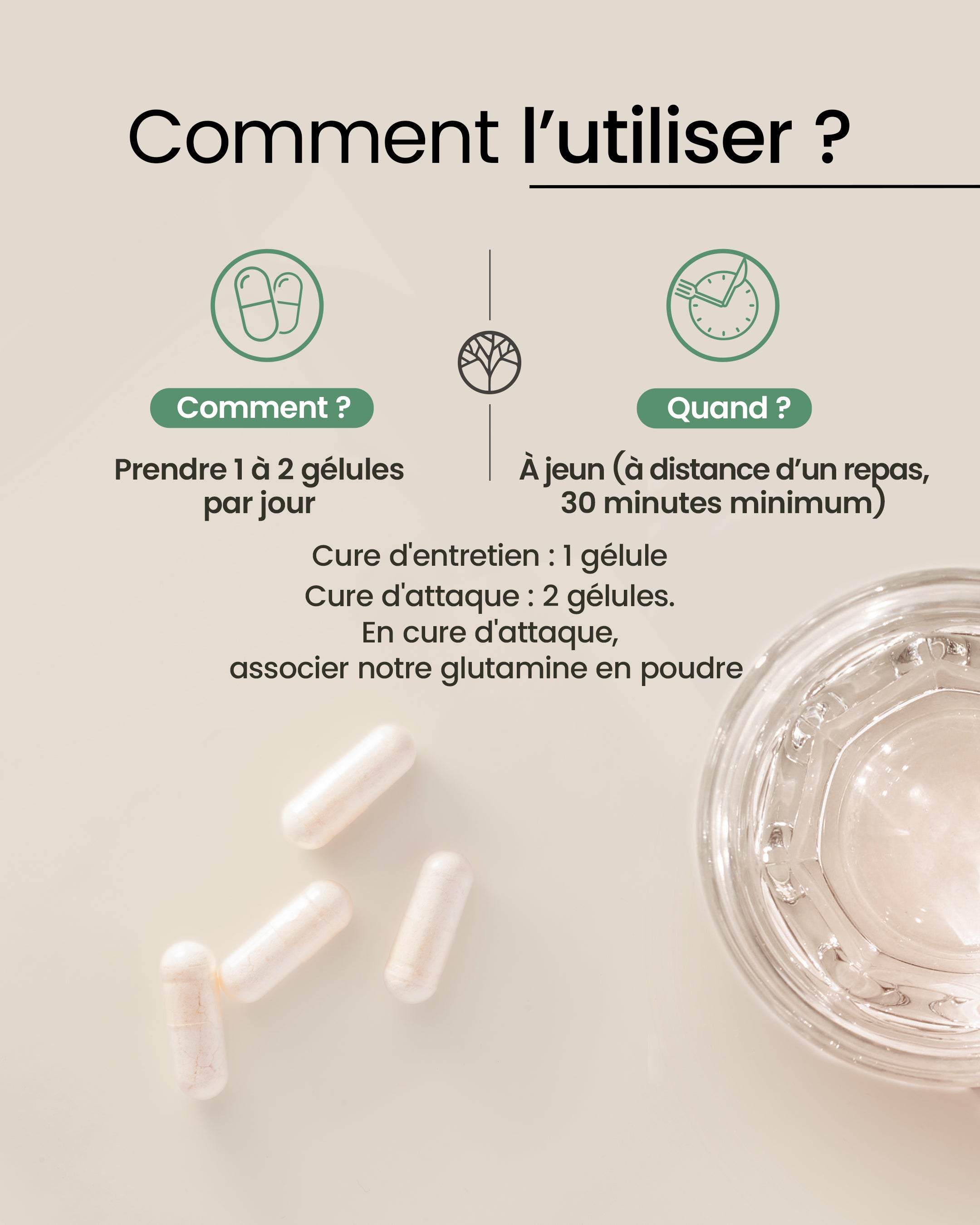 Posologie des probiotiques glutamine