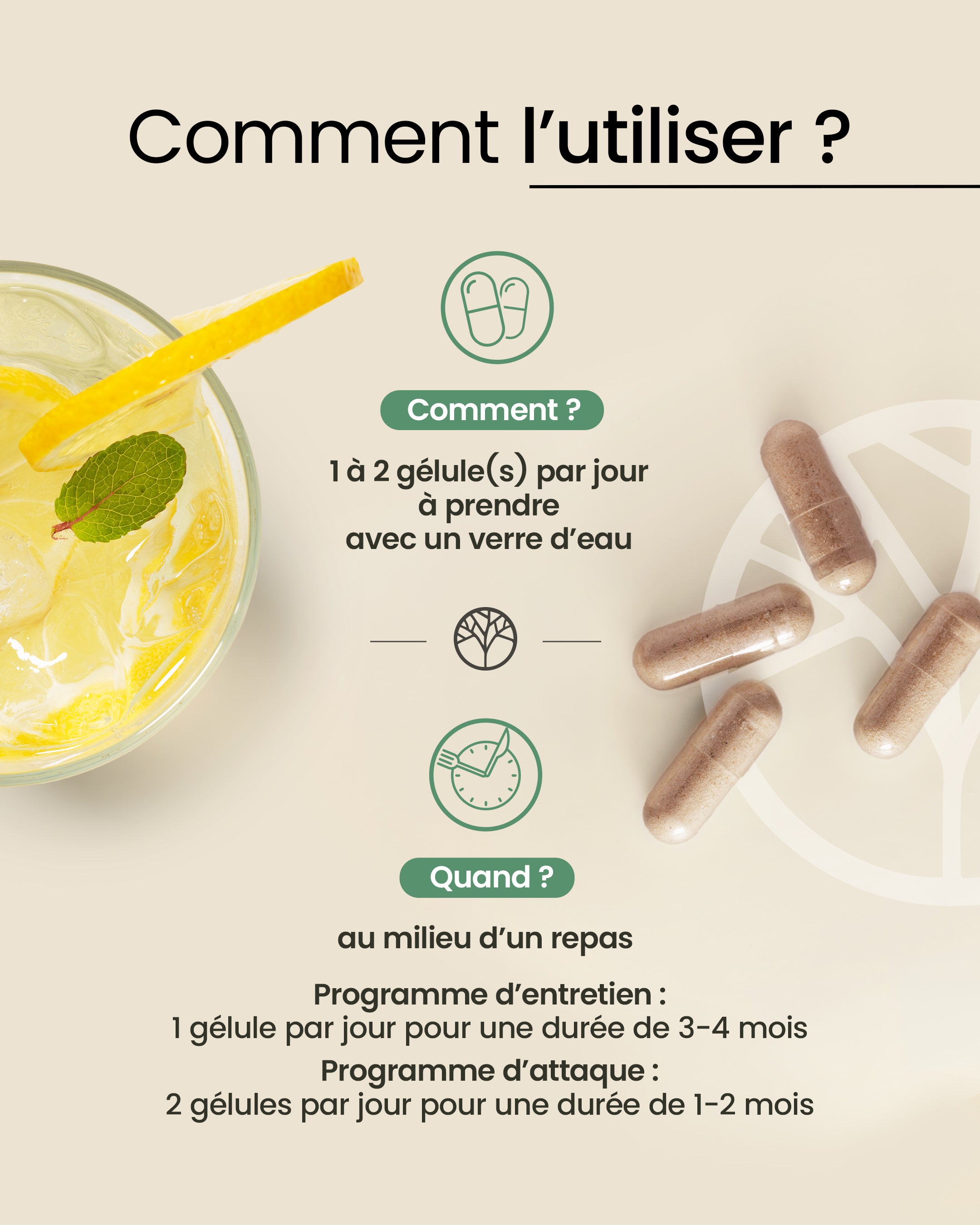 Posologie de la rhodiola en gélules