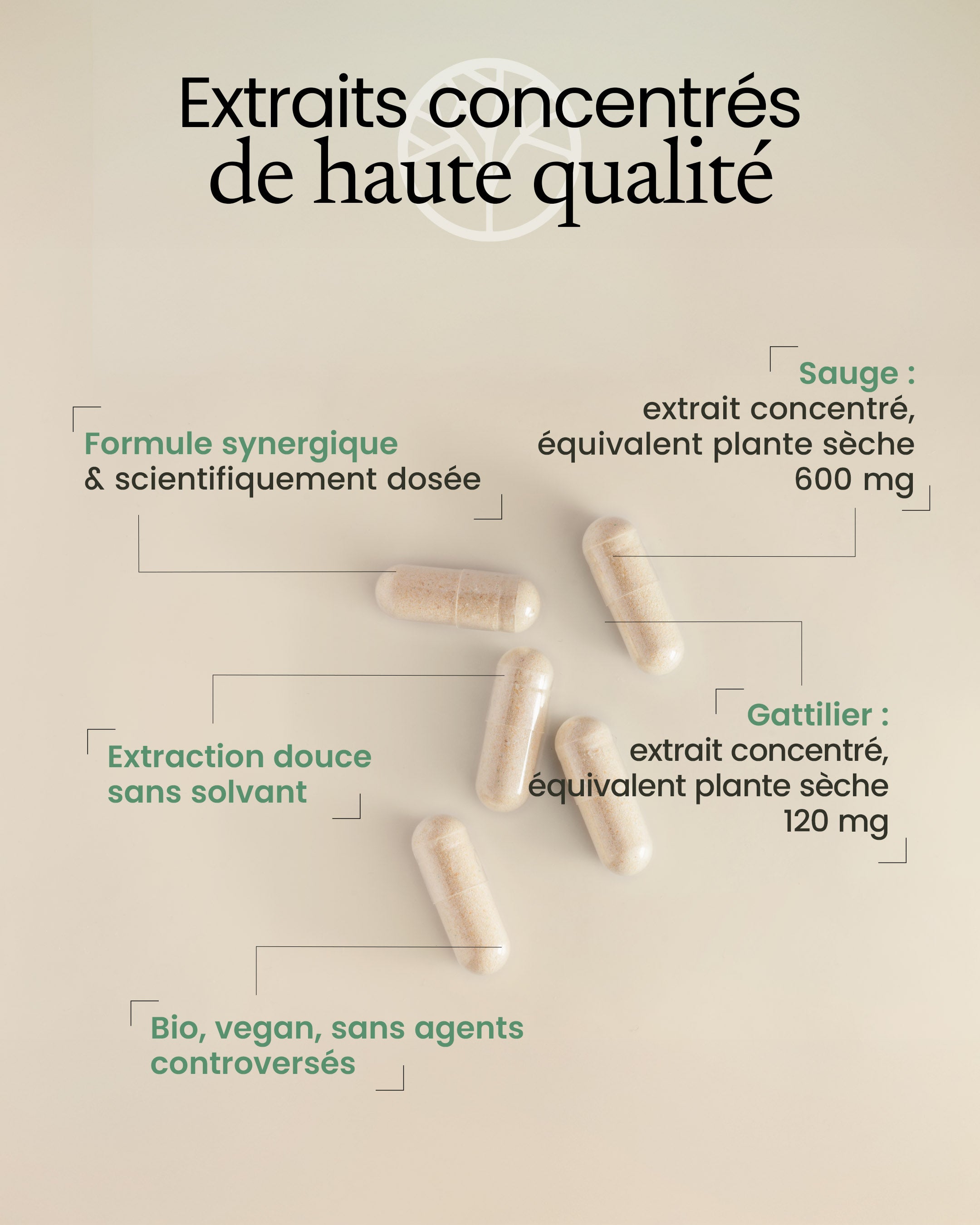 Gélules de sauge et gattilier
