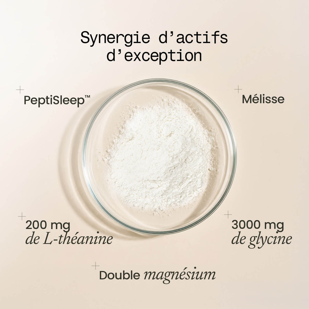 Sommeil Intégral Expert