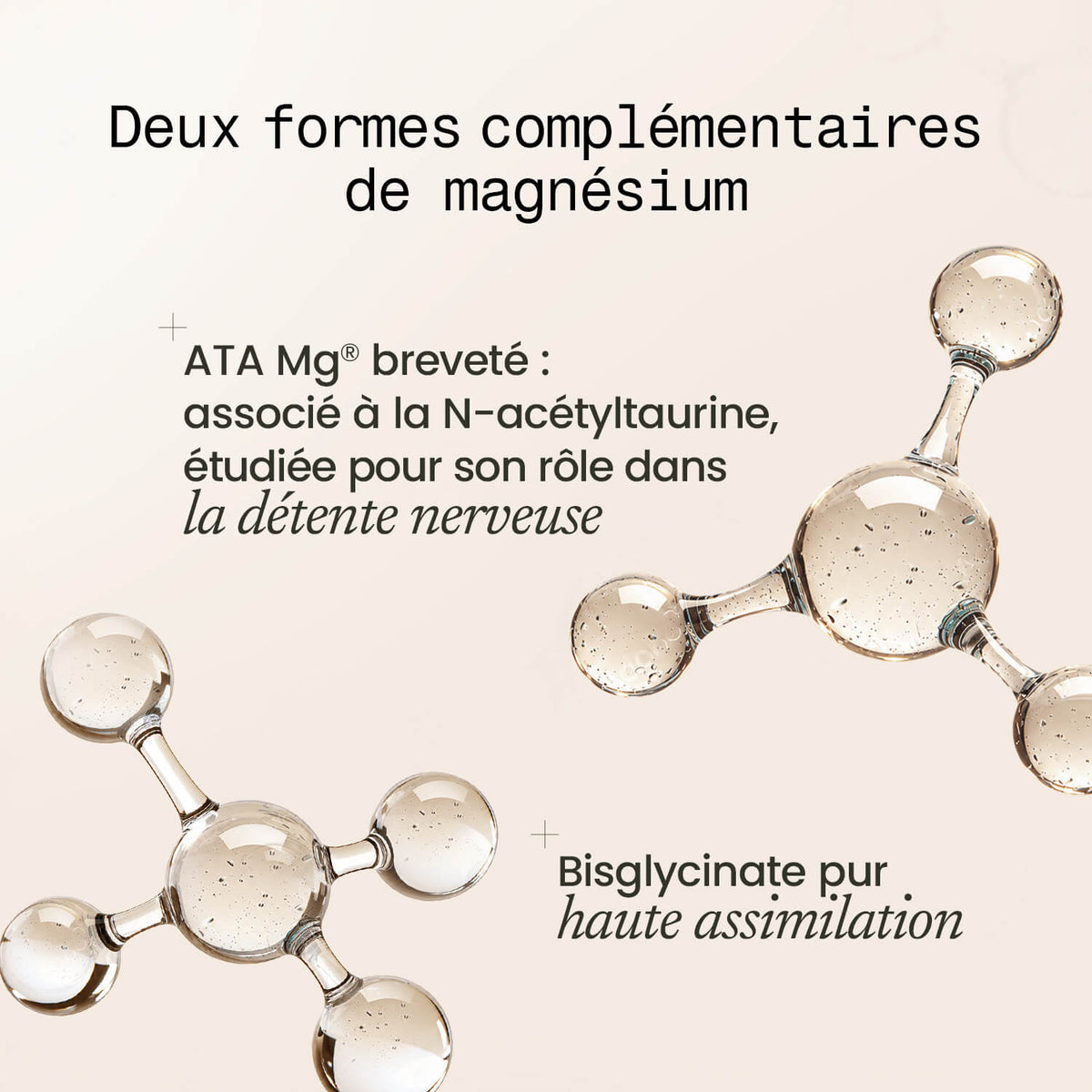 Sommeil Intégral Expert