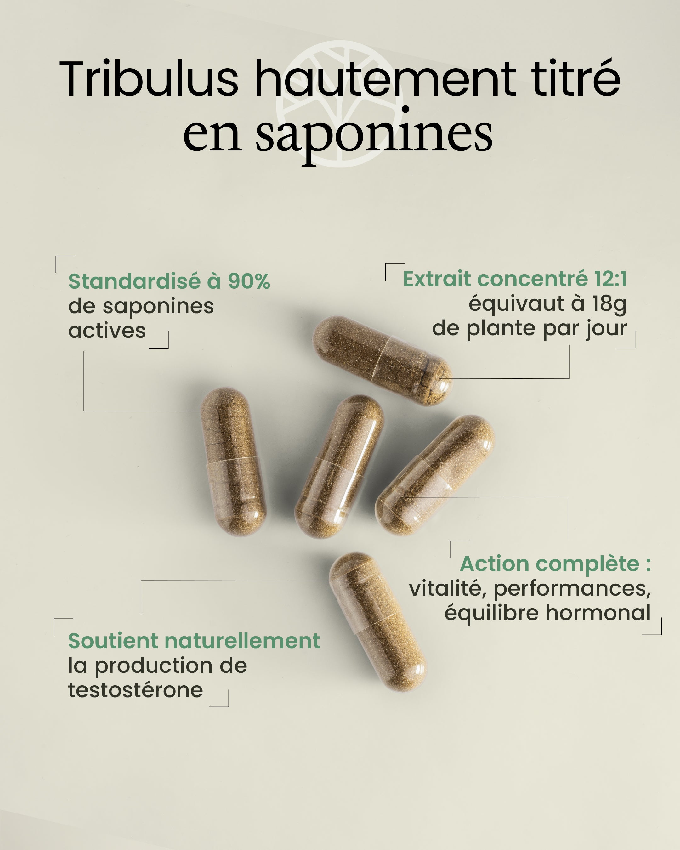 Gélules de tribulus