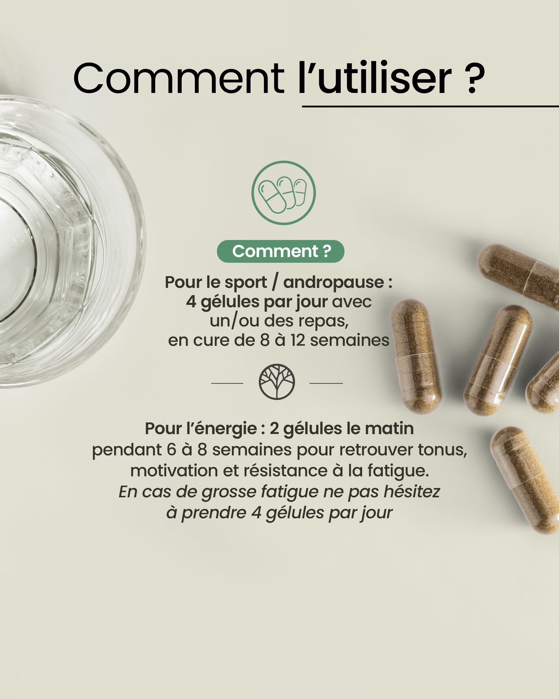 Posologie du tribulus