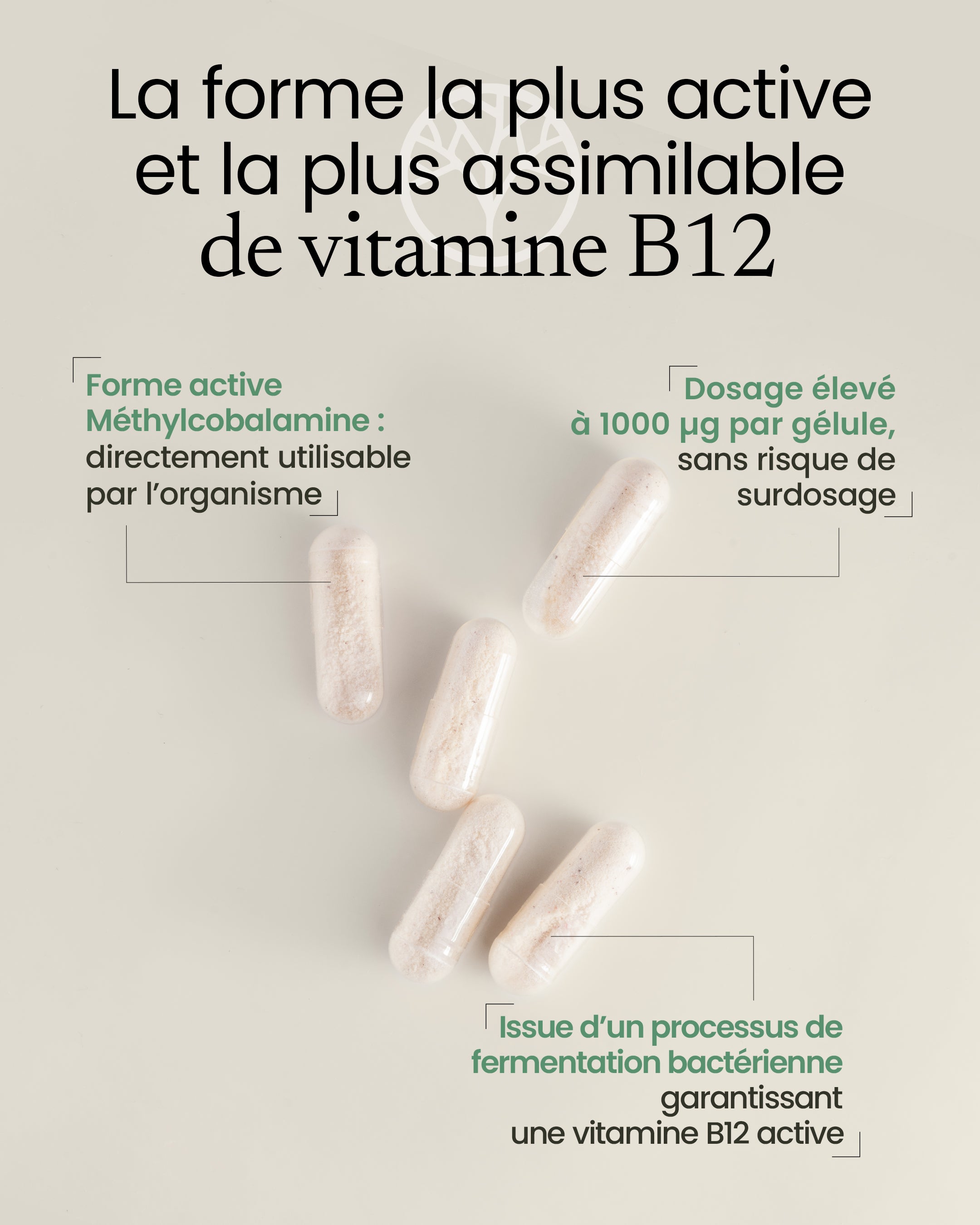 Propriétés de la vitamine B12