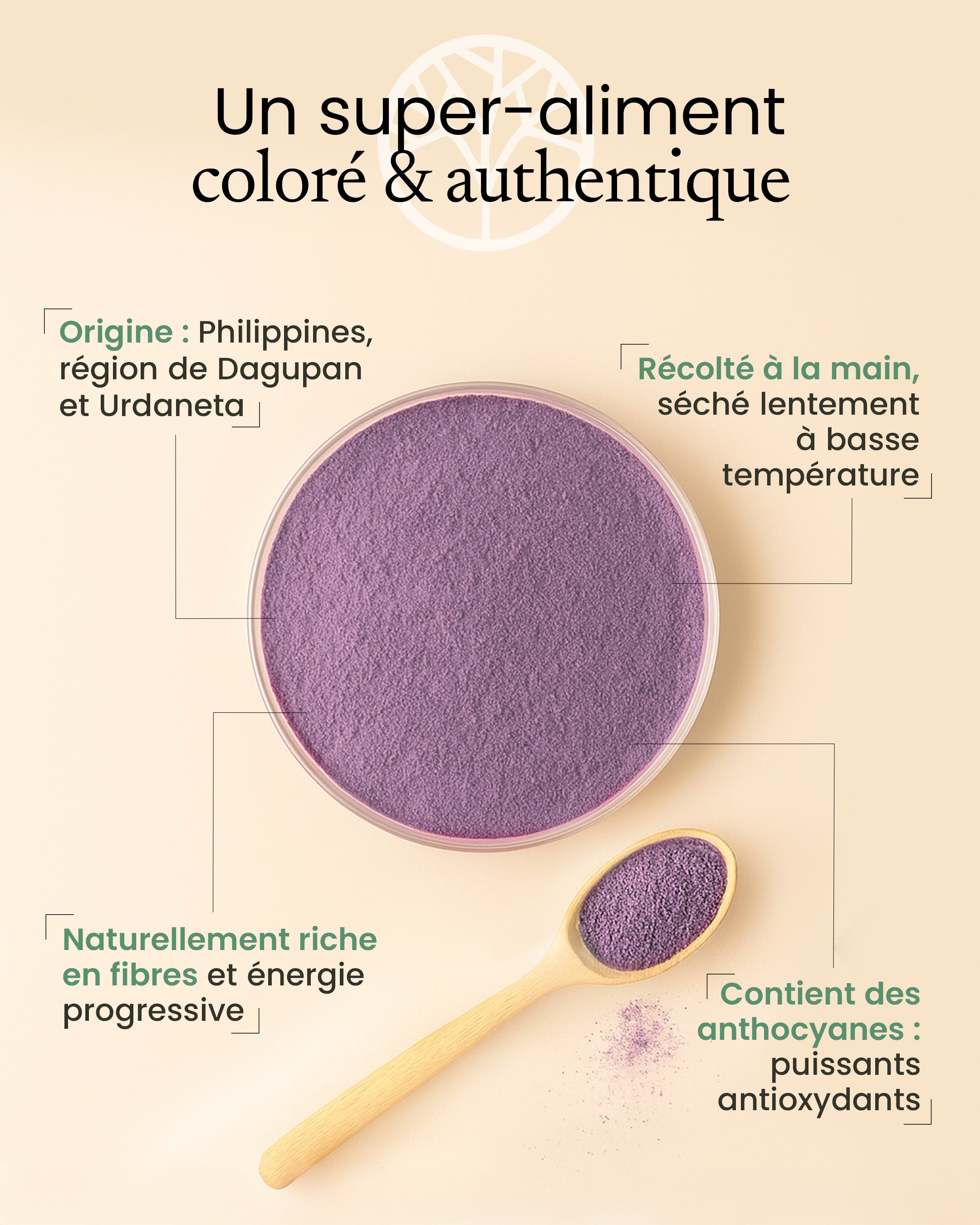 Ube c'est quoi ?