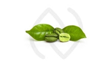 Café Vert bienfaits