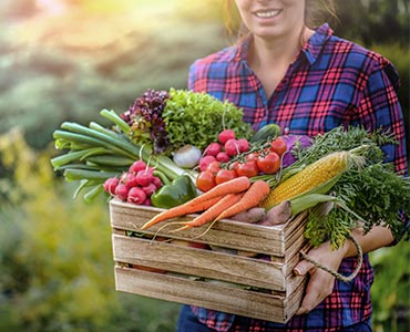 Fruits et légumes bio dans un ecagette