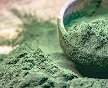 Spiruline en poudre