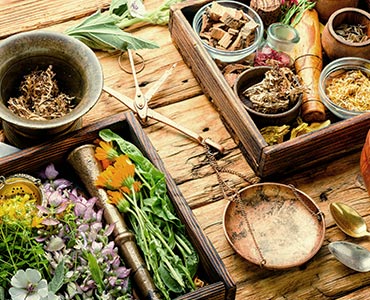 Herbes séchées de naturopathie