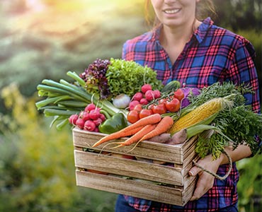 Panier de légumes frais