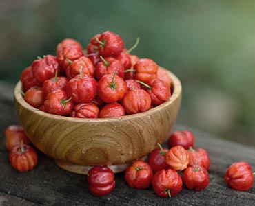 Baies d'acerola